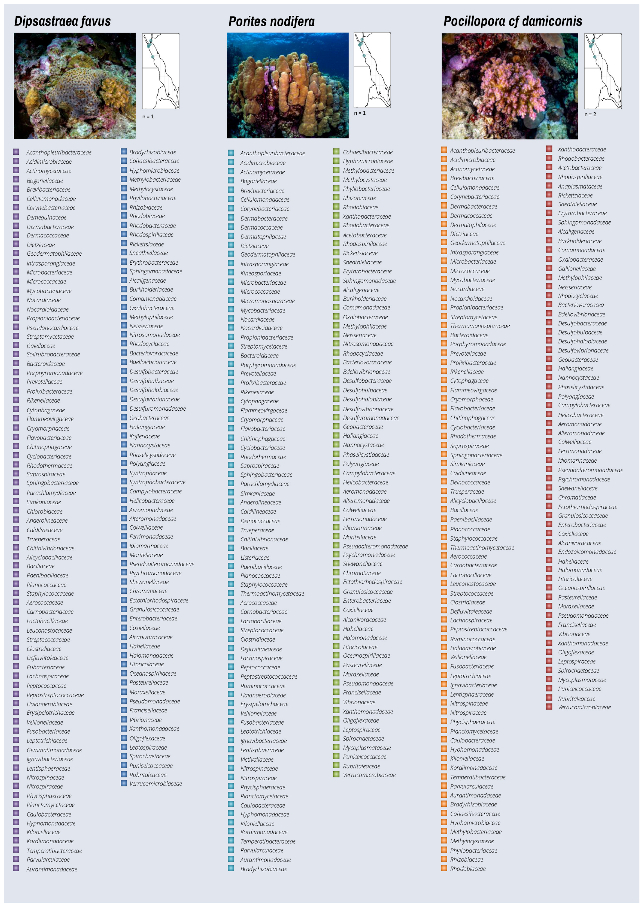 Microorganisms 10 02340 g004b Microorganisms 10 02340 g004b