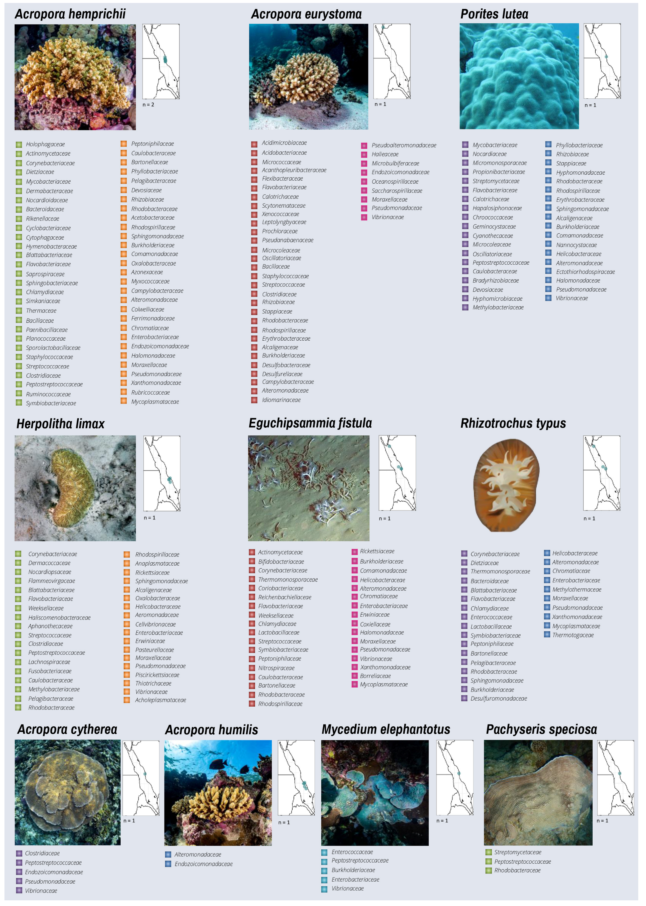 Microorganisms 10 02340 g004c Microorganisms 10 02340 g004c