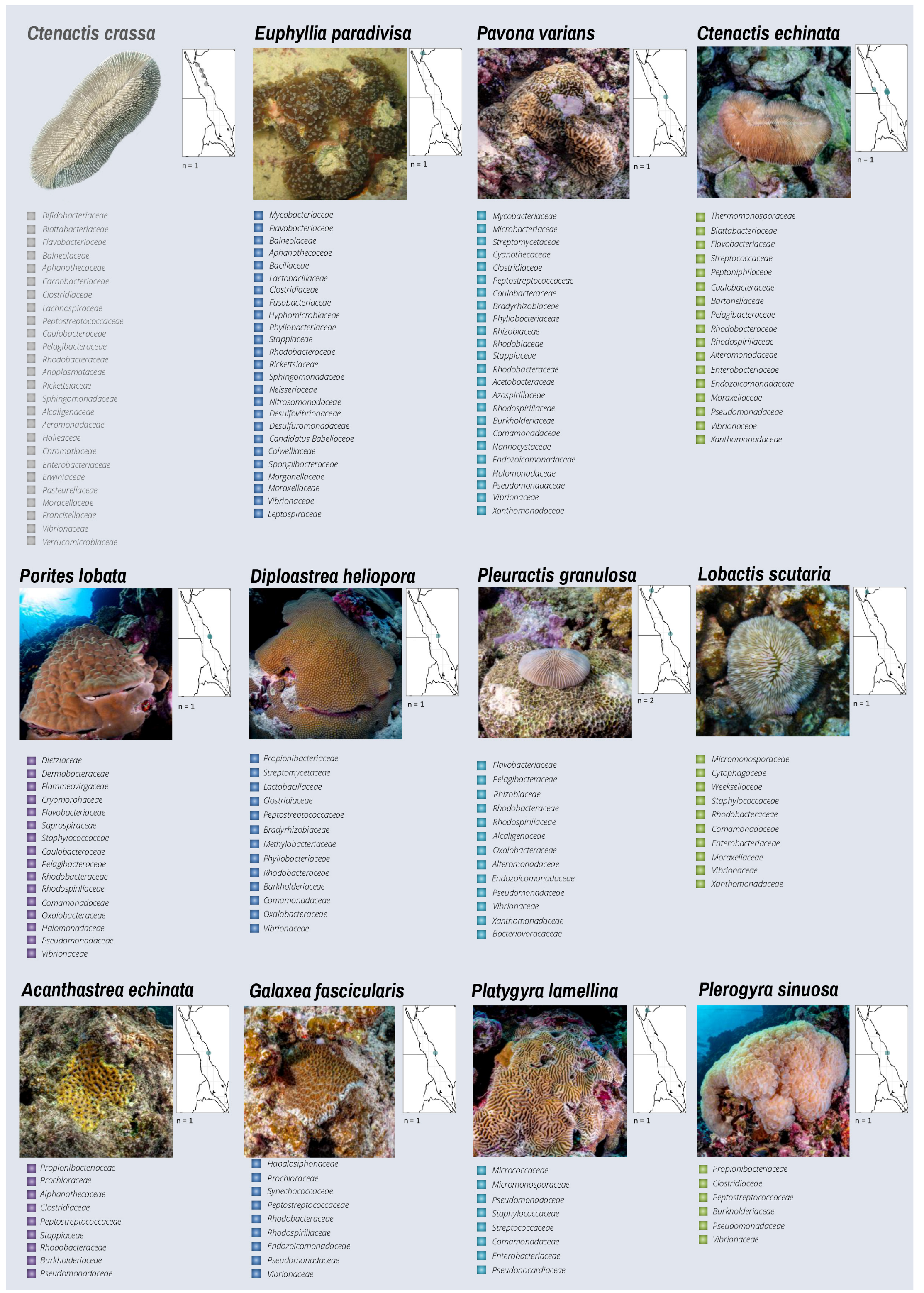 Microorganisms 10 02340 g004d Microorganisms 10 02340 g004d