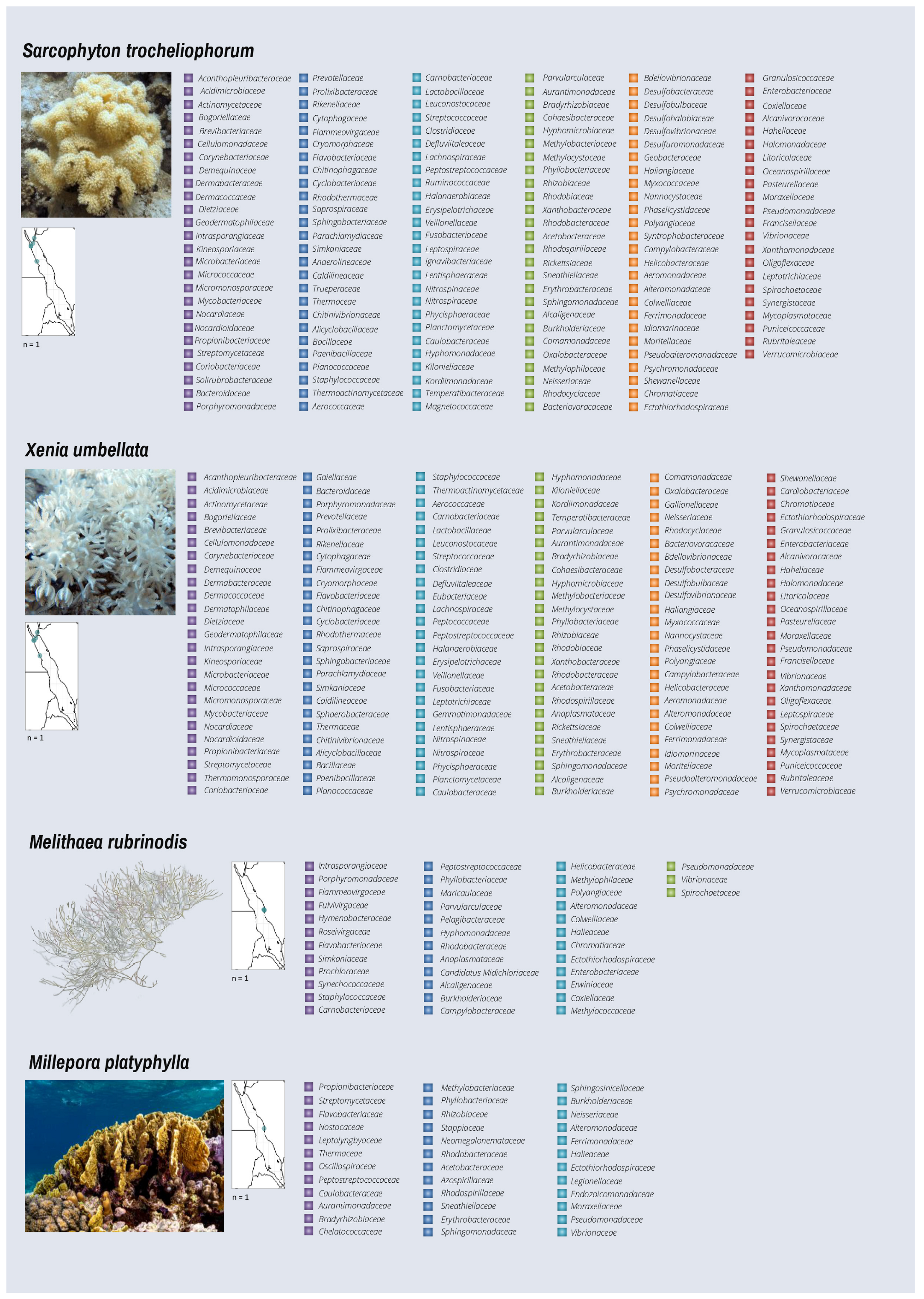 Microorganisms 10 02340 g004e Microorganisms 10 02340 g004e