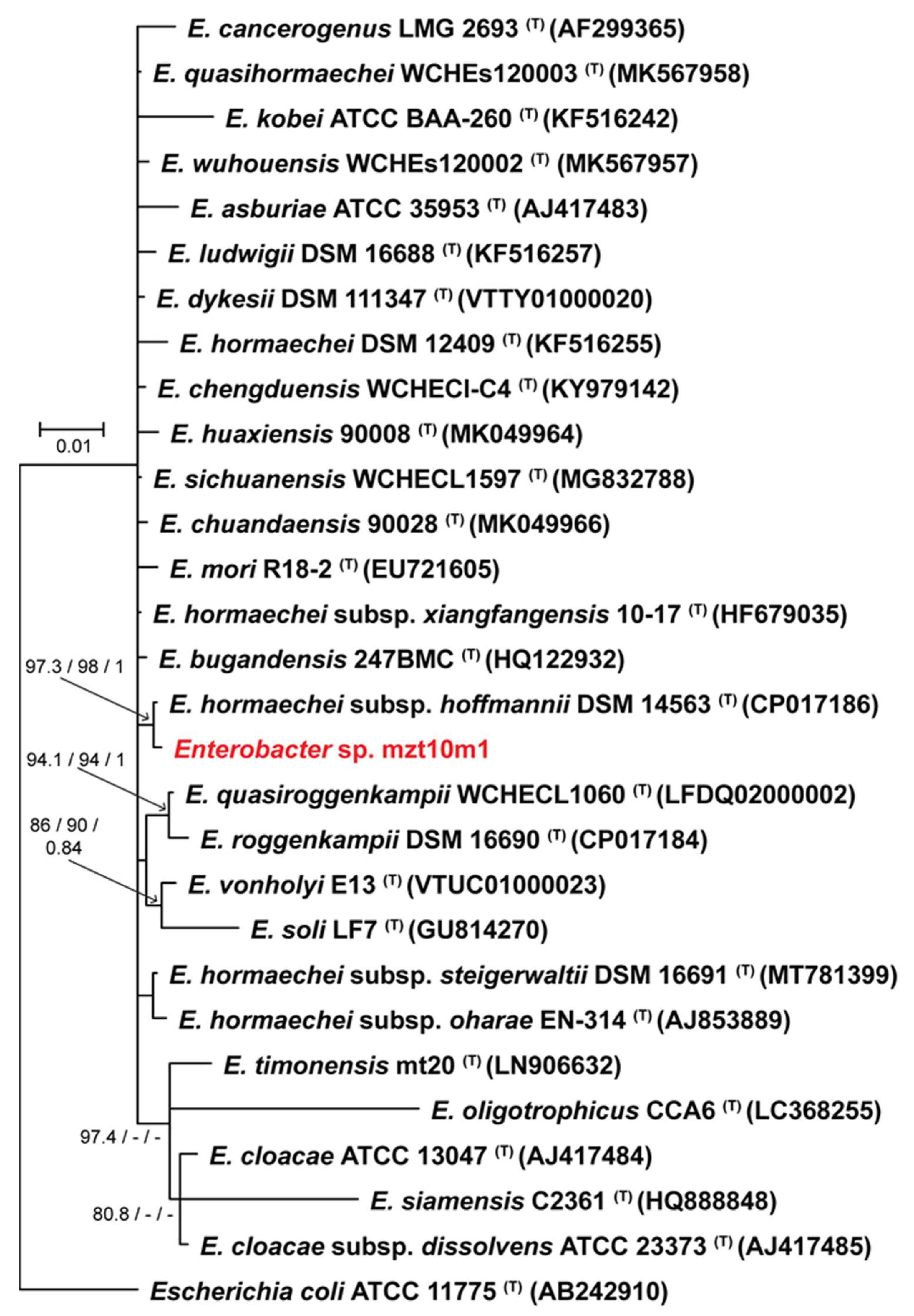 Microorganisms 10 02341 g005 Microorganisms 10 02341 g005