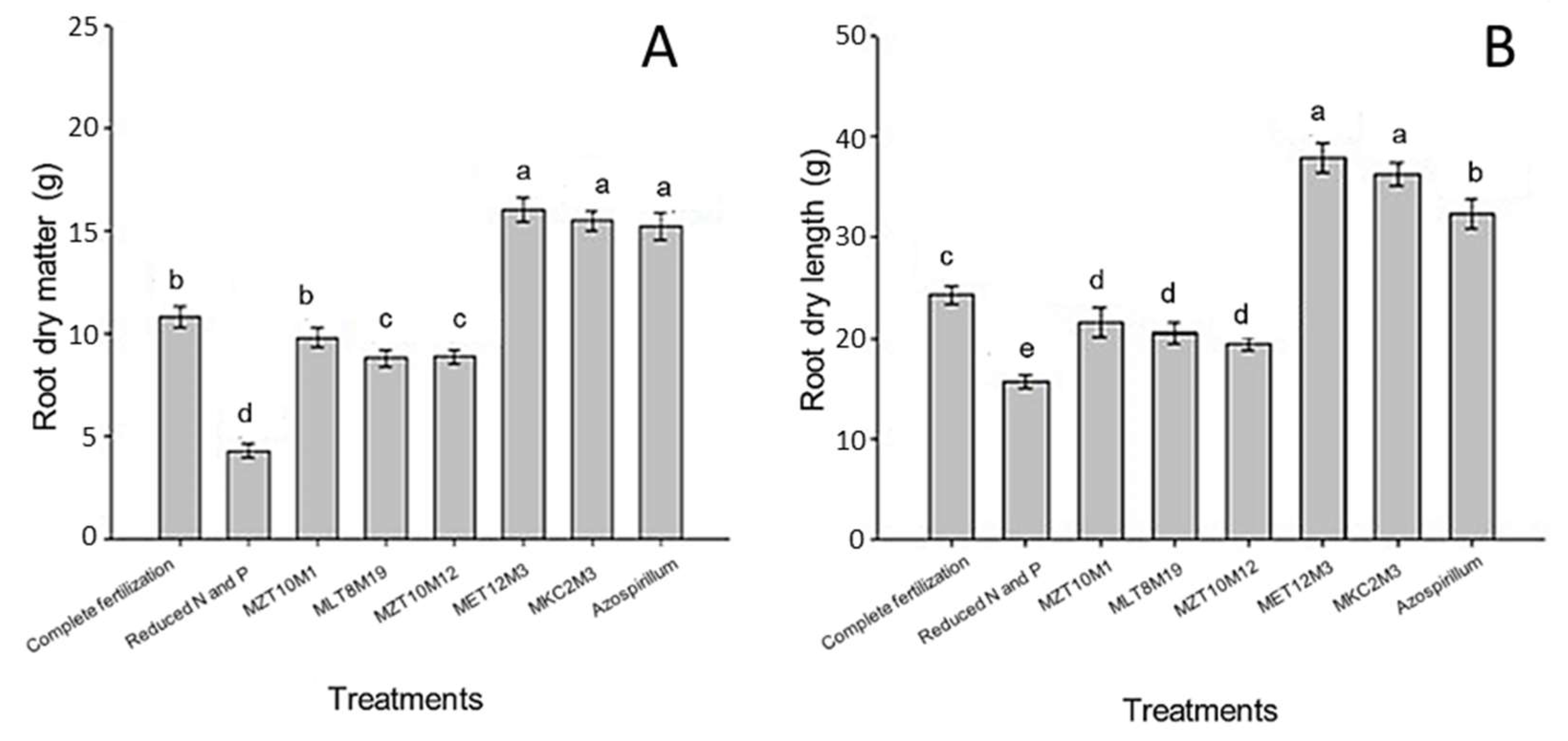 Microorganisms 10 02341 g010 Microorganisms 10 02341 g010