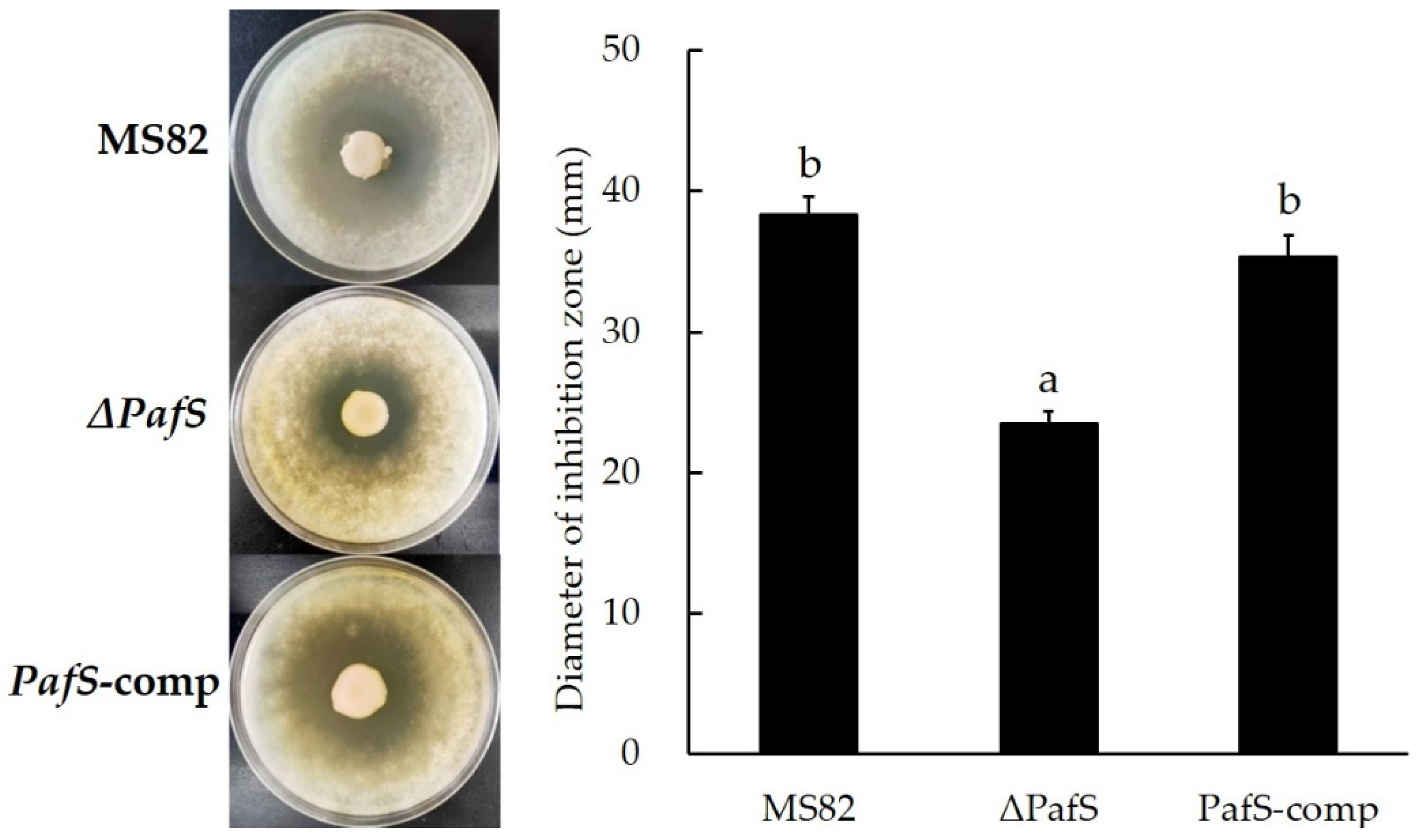 Microorganisms 10 02342 g002 Microorganisms 10 02342 g002