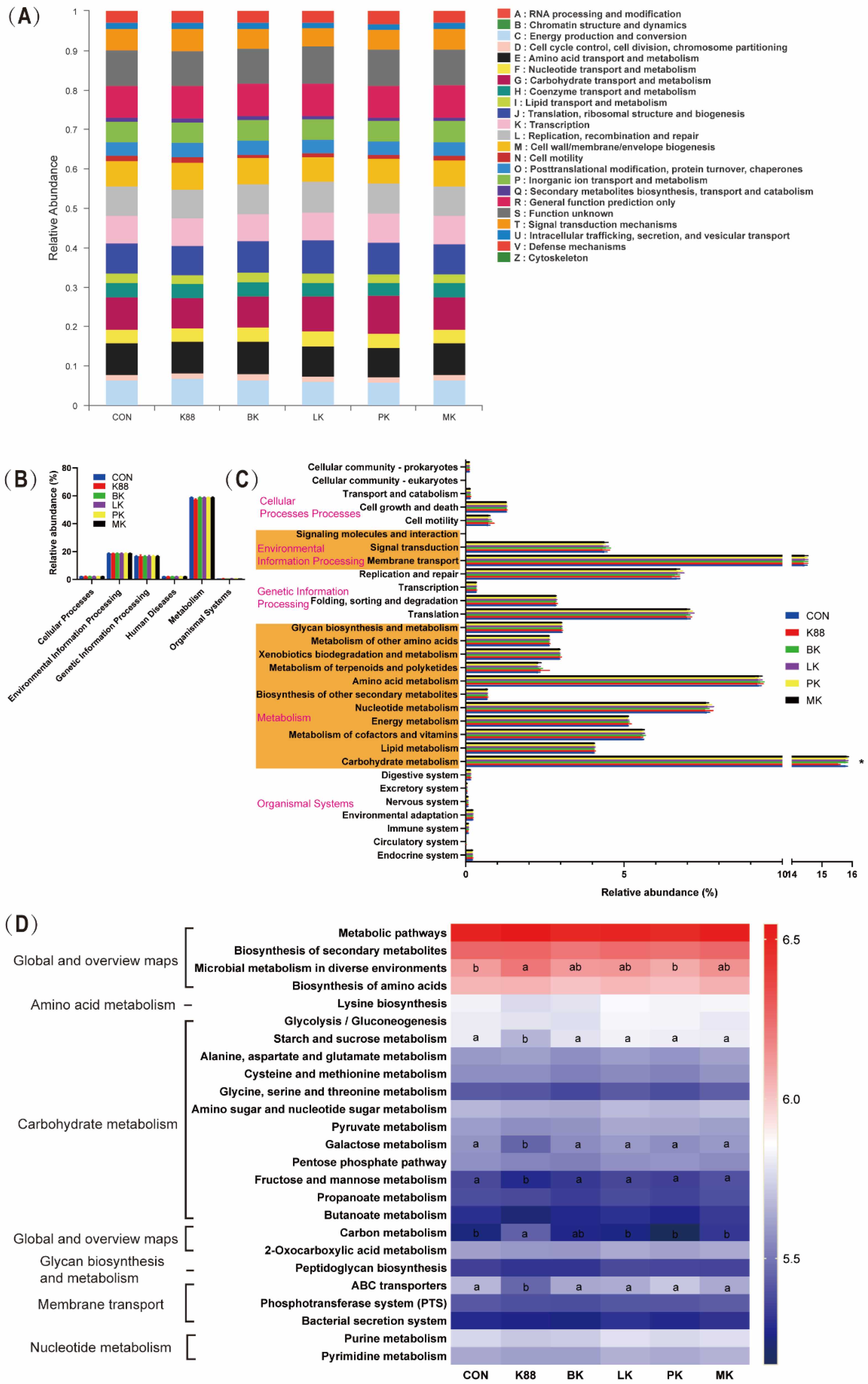 Microorganisms 10 02350 g007 Microorganisms 10 02350 g007