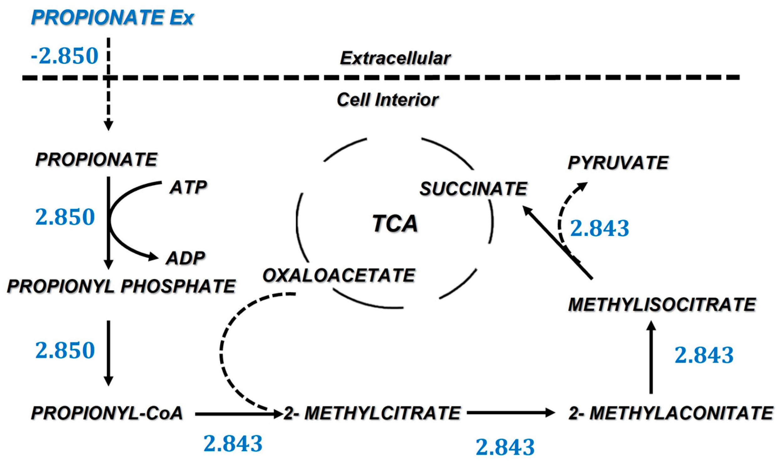 Microorganisms 10 02352 g004 Microorganisms 10 02352 g004