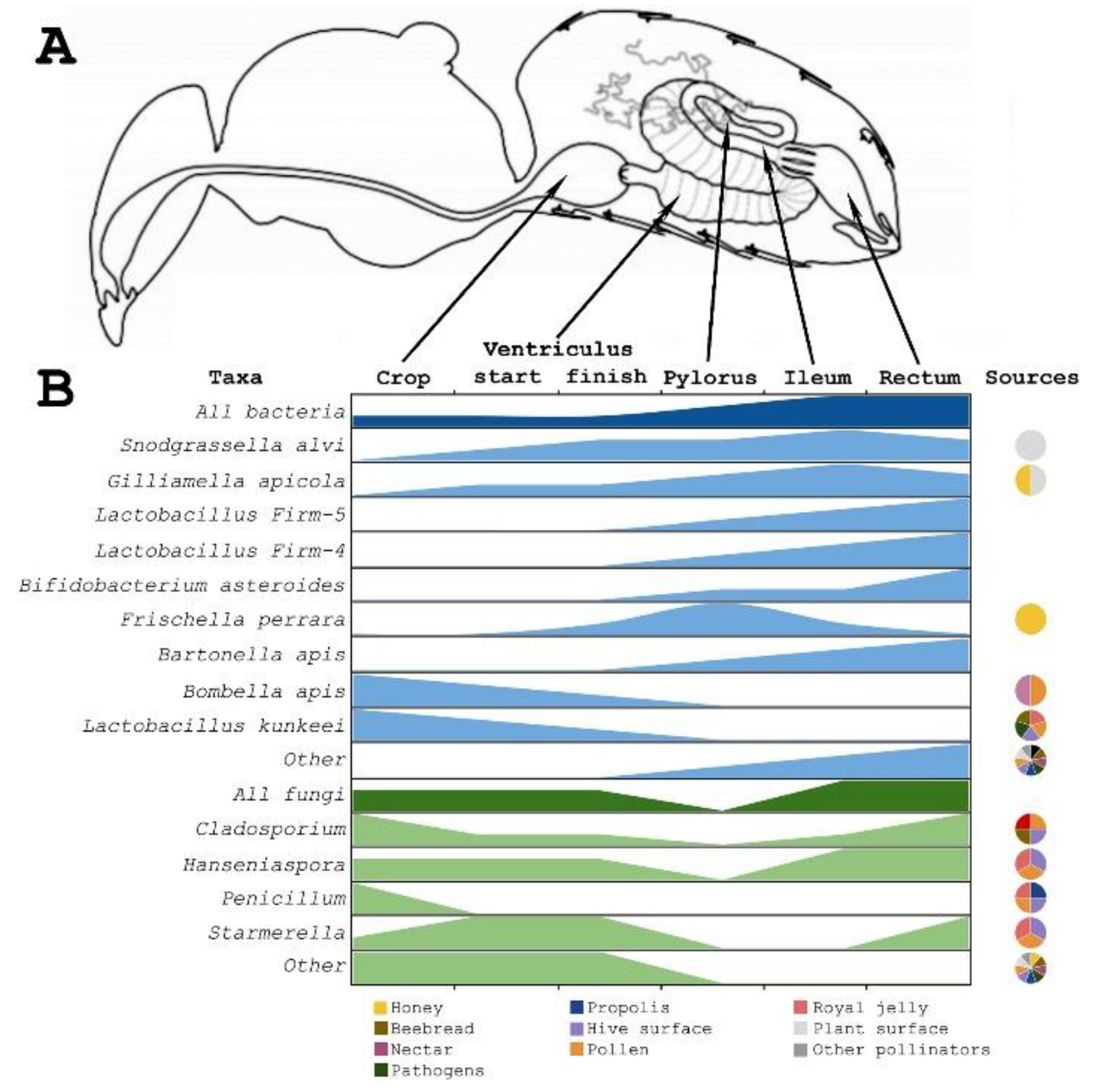 Microorganisms 10 02359 g002