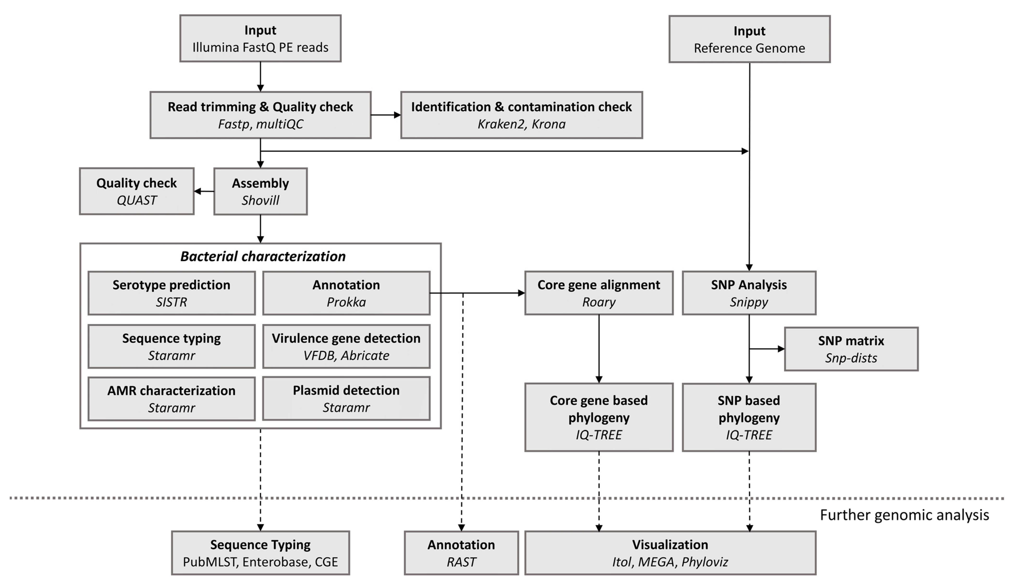 A Practical Bioinformatics Workflow for Routine Analysis of Bacterial ...