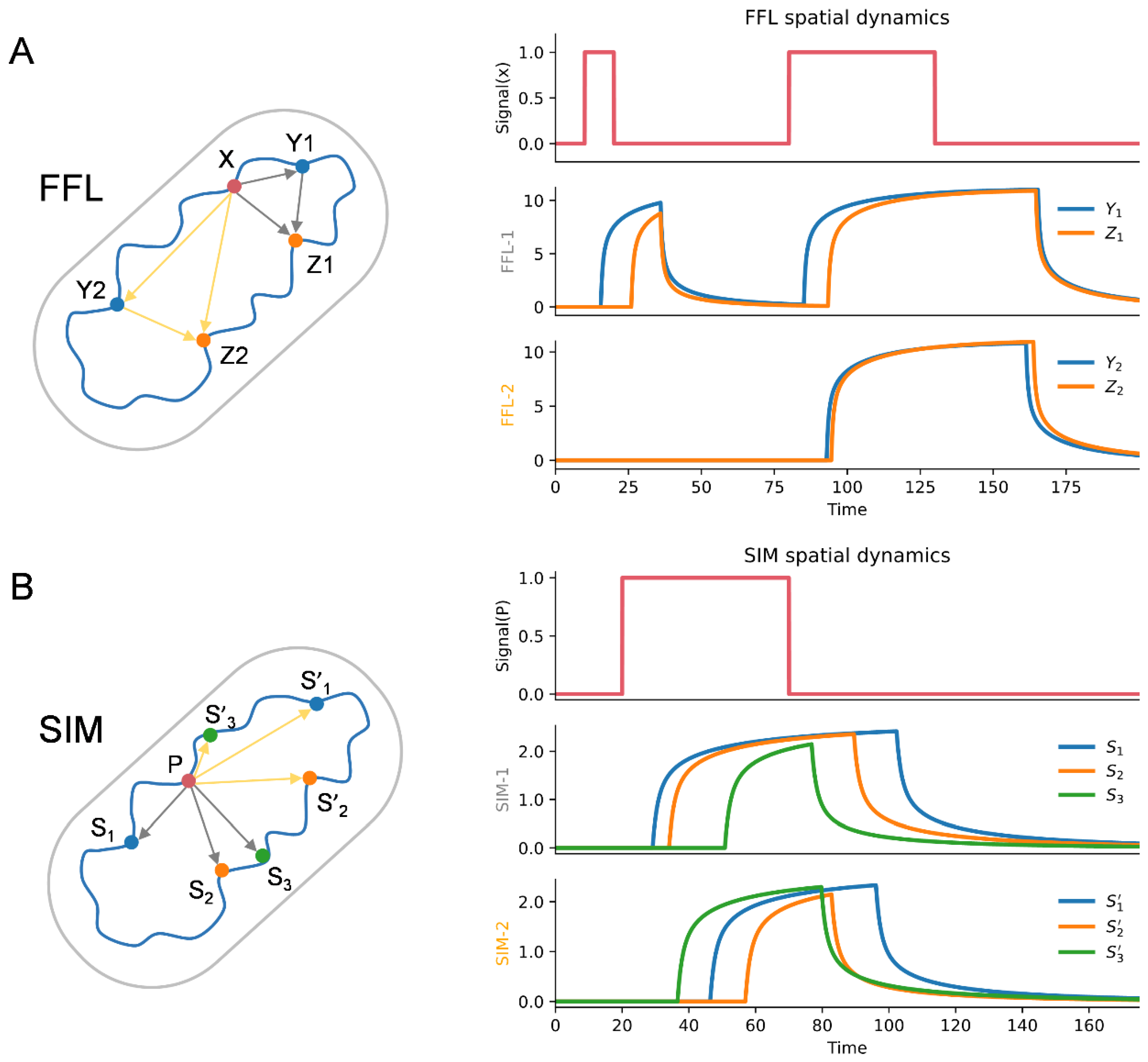 Microorganisms 10 02366 g007