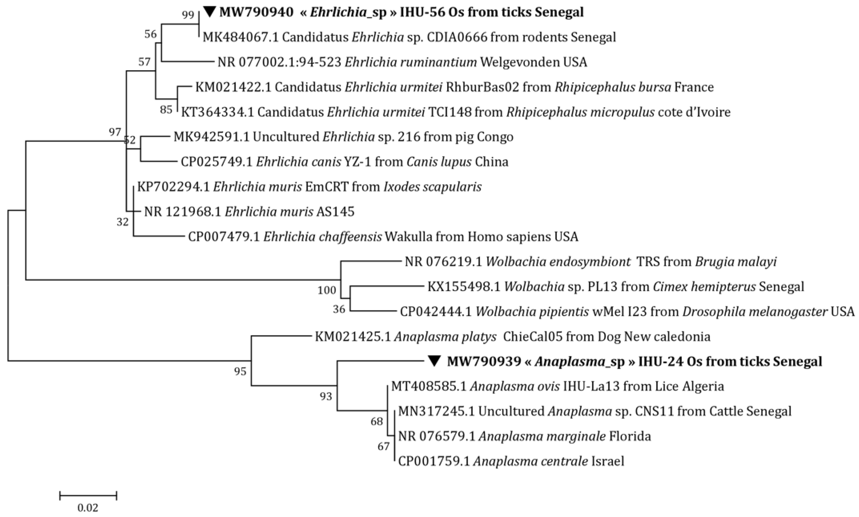 Microorganisms 10 02367 g002 Microorganisms 10 02367 g002