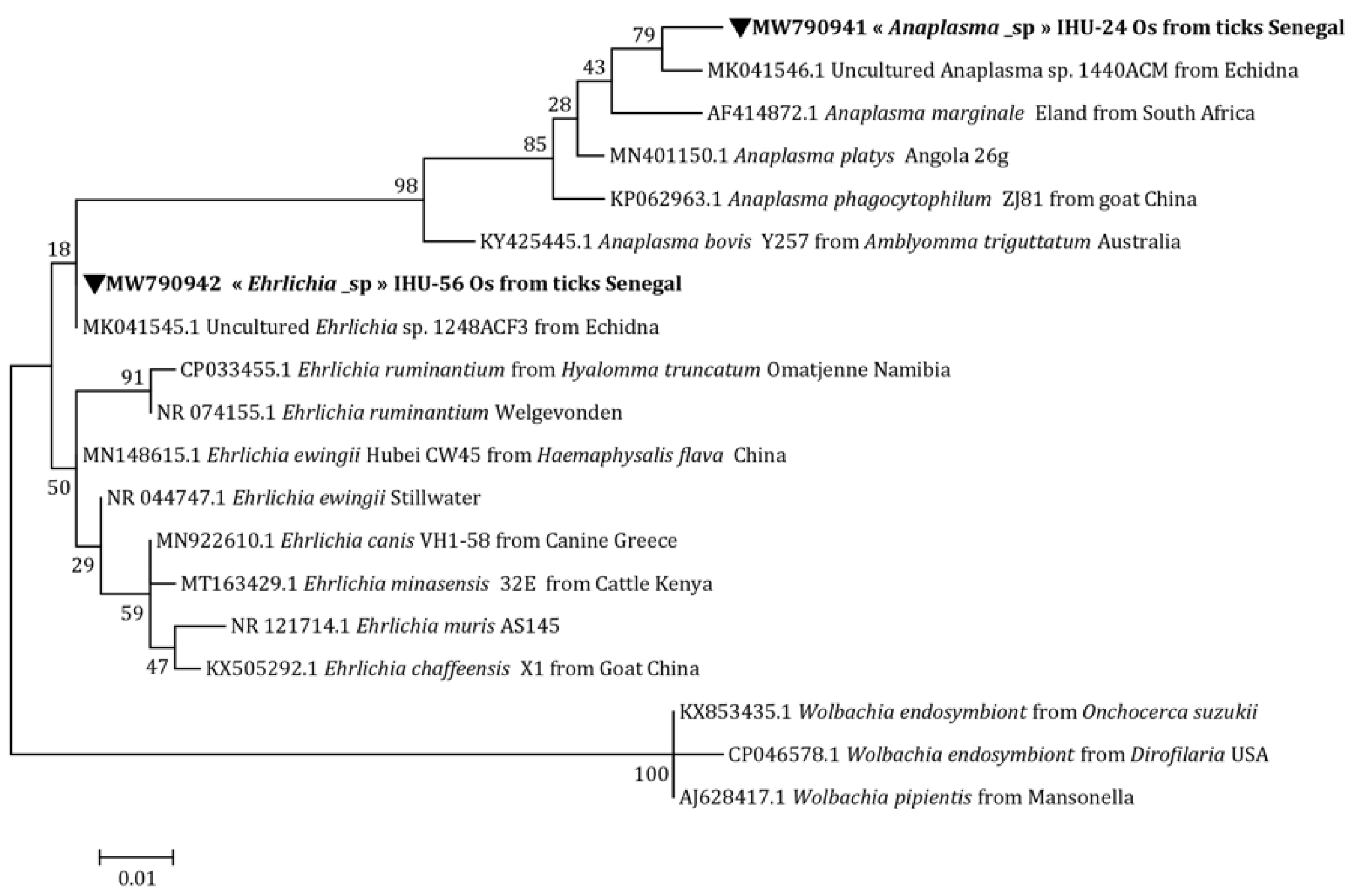 Microorganisms 10 02367 g003 Microorganisms 10 02367 g003