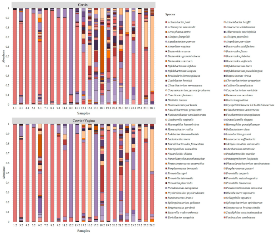 Microorganisms 10 02368 g001