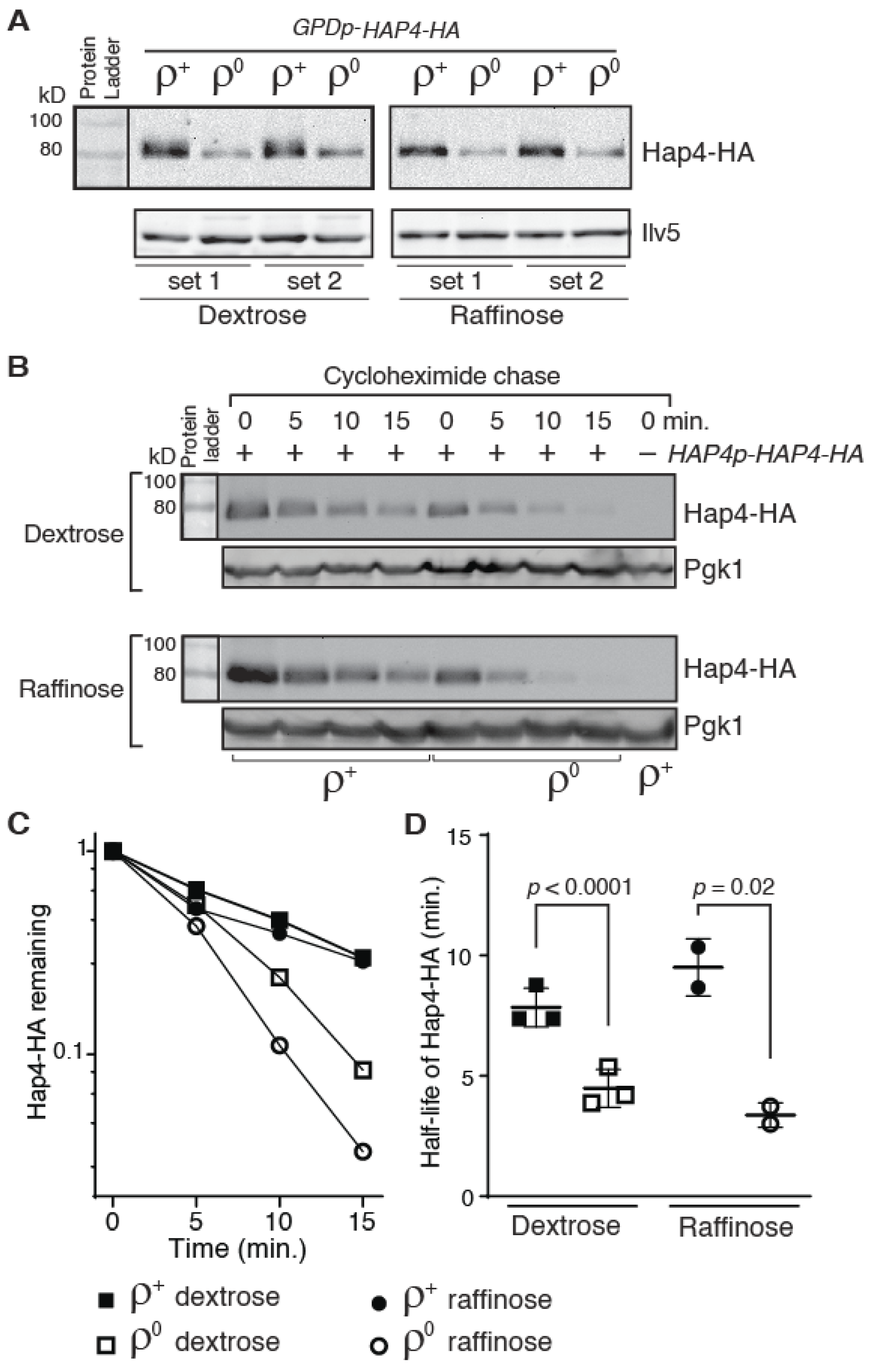 Microorganisms 10 02370 g003 Microorganisms 10 02370 g003