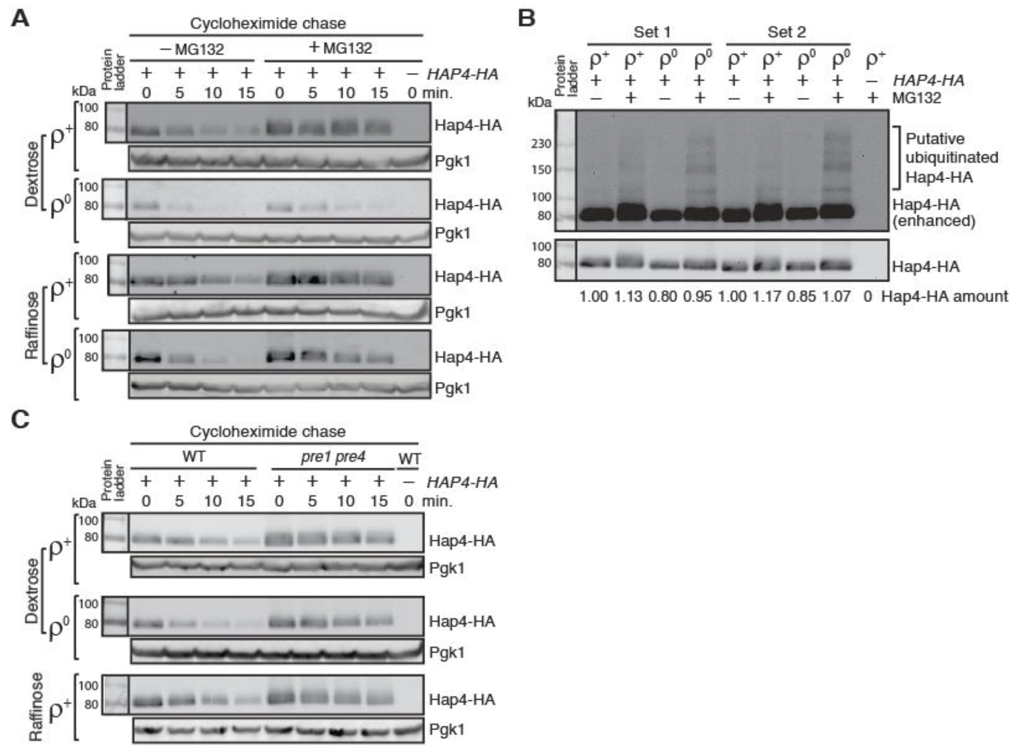 Microorganisms 10 02370 g004 Microorganisms 10 02370 g004