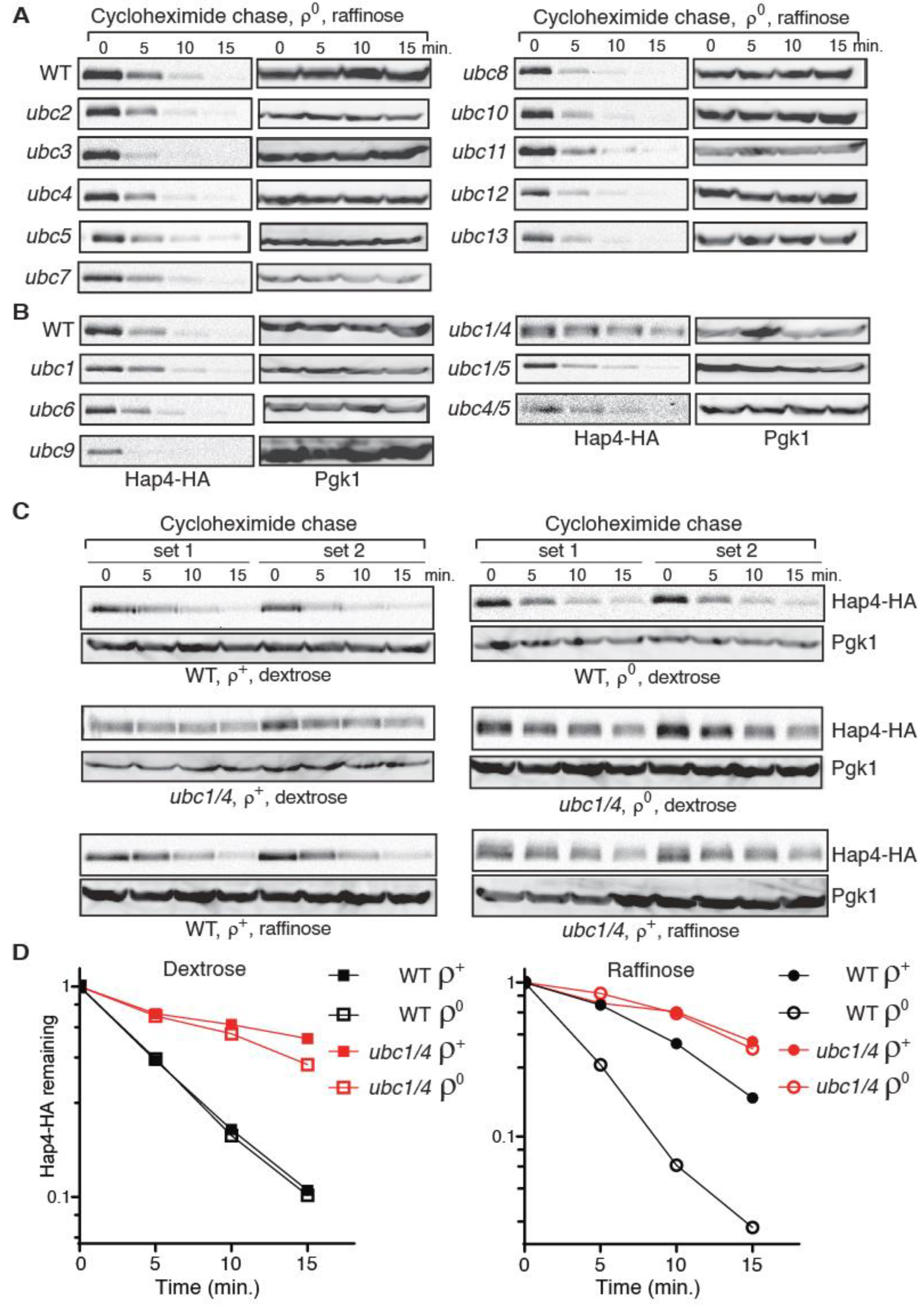 Microorganisms 10 02370 g005 Microorganisms 10 02370 g005