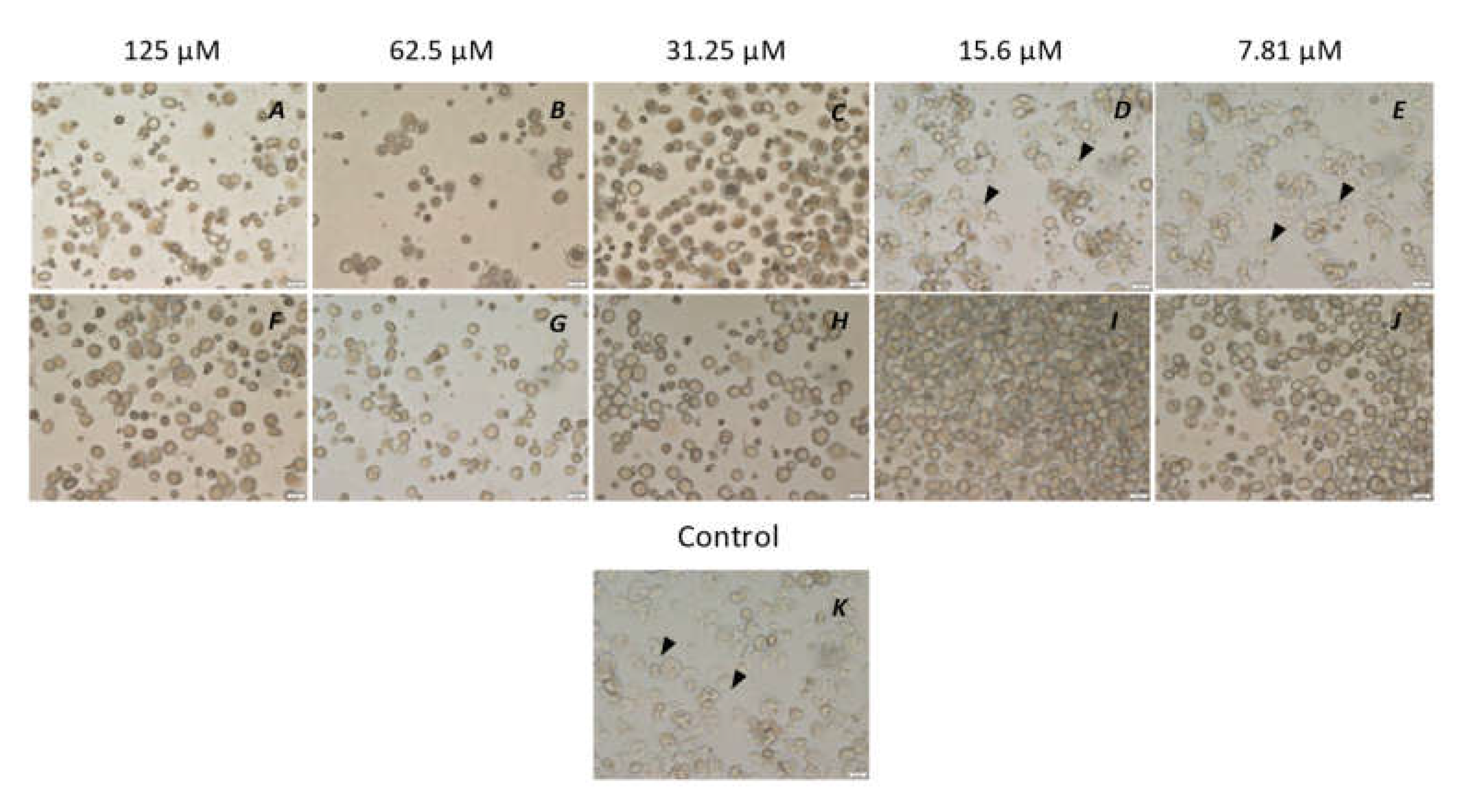 Microorganisms 10 02377 g006 Microorganisms 10 02377 g006