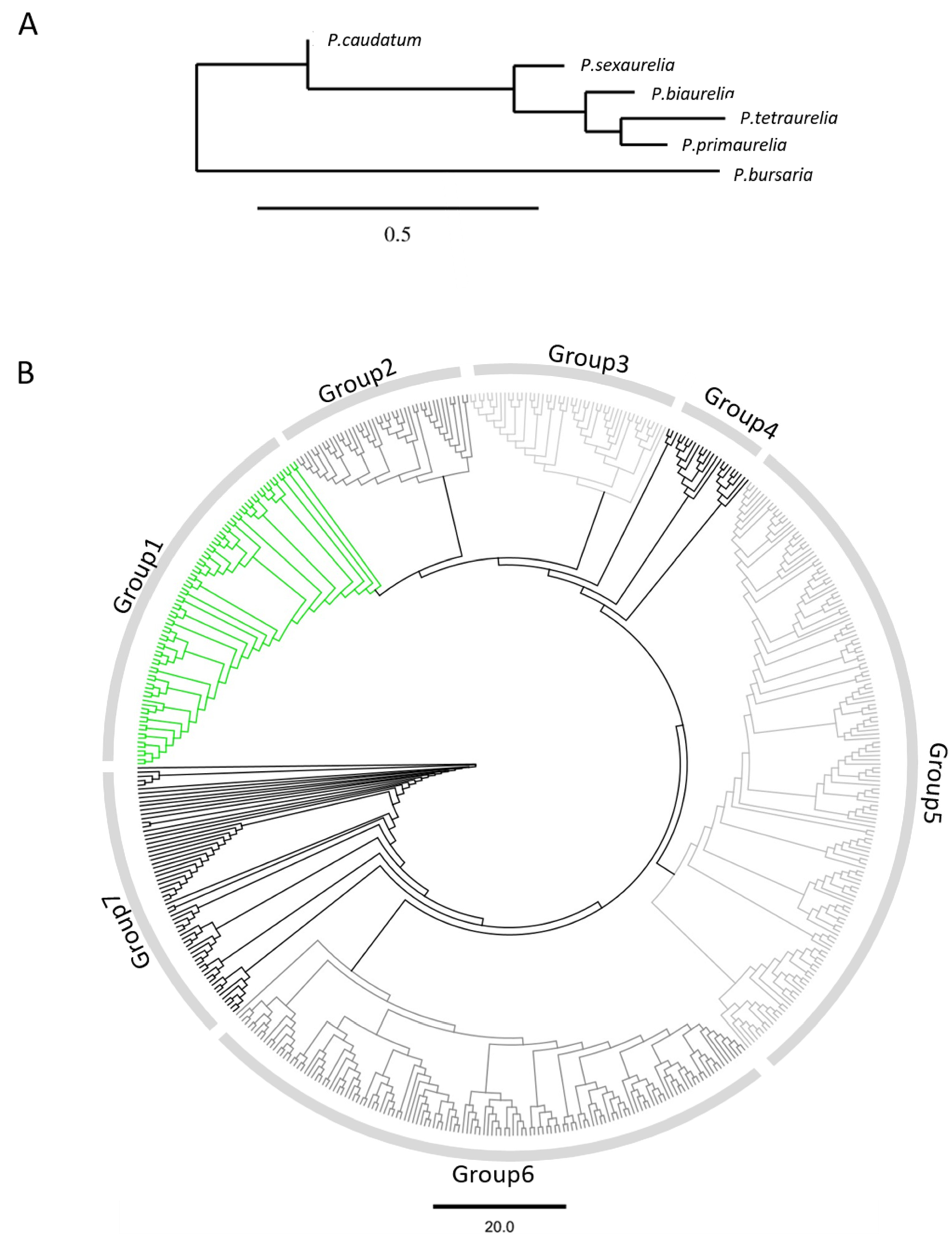 Microorganisms 10 02378 g001