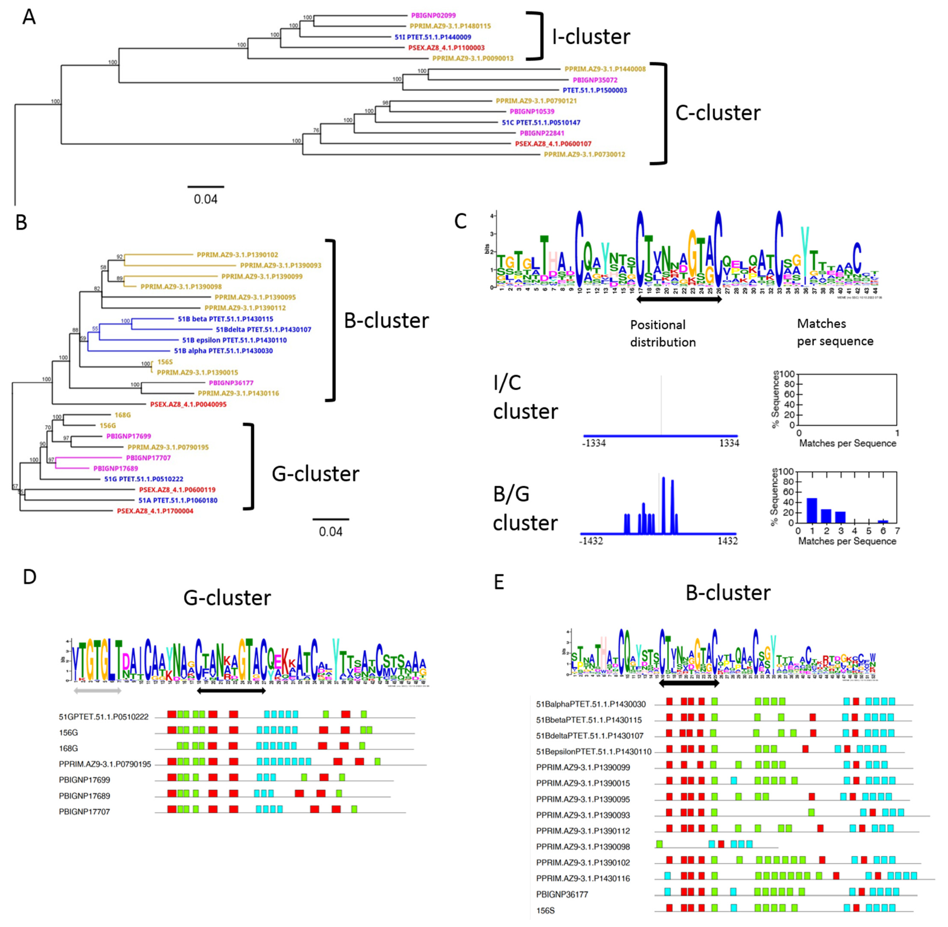 Microorganisms 10 02378 g005