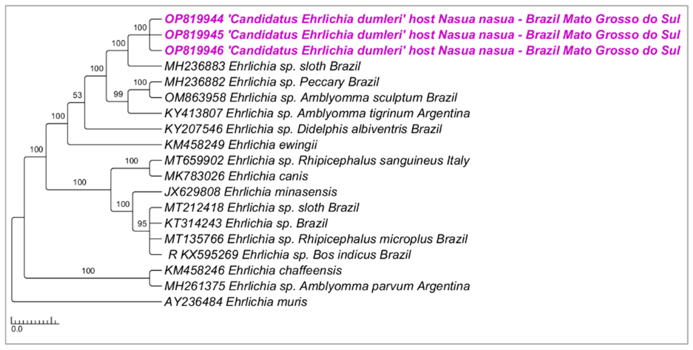 Microorganisms 10 02379 g001 Microorganisms 10 02379 g001