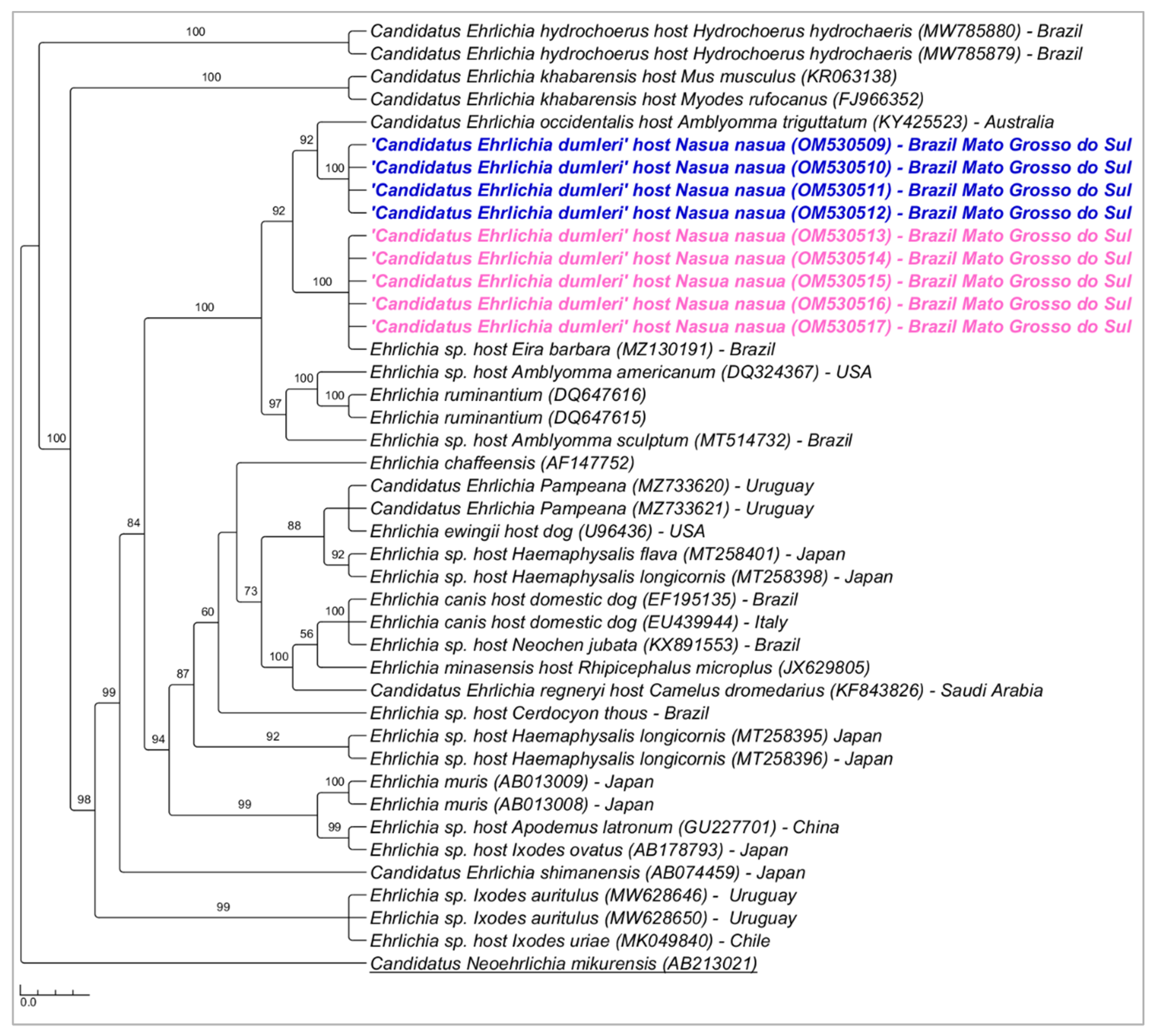 Microorganisms 10 02379 g002 Microorganisms 10 02379 g002