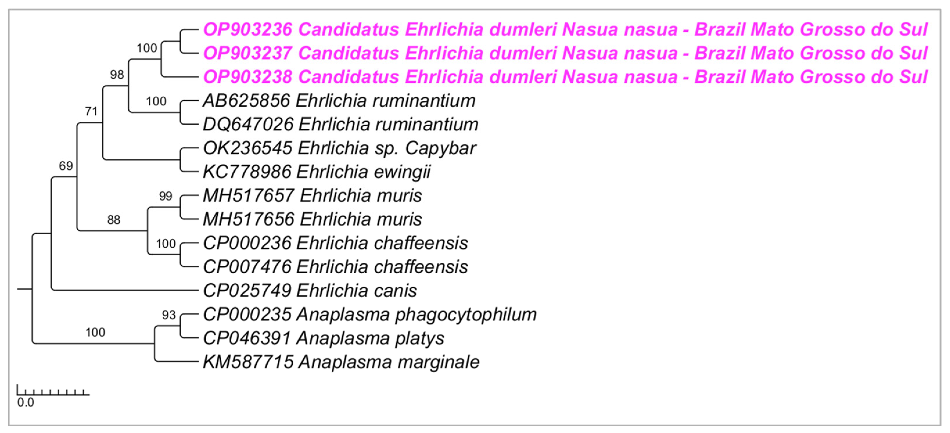 Microorganisms 10 02379 g004 Microorganisms 10 02379 g004