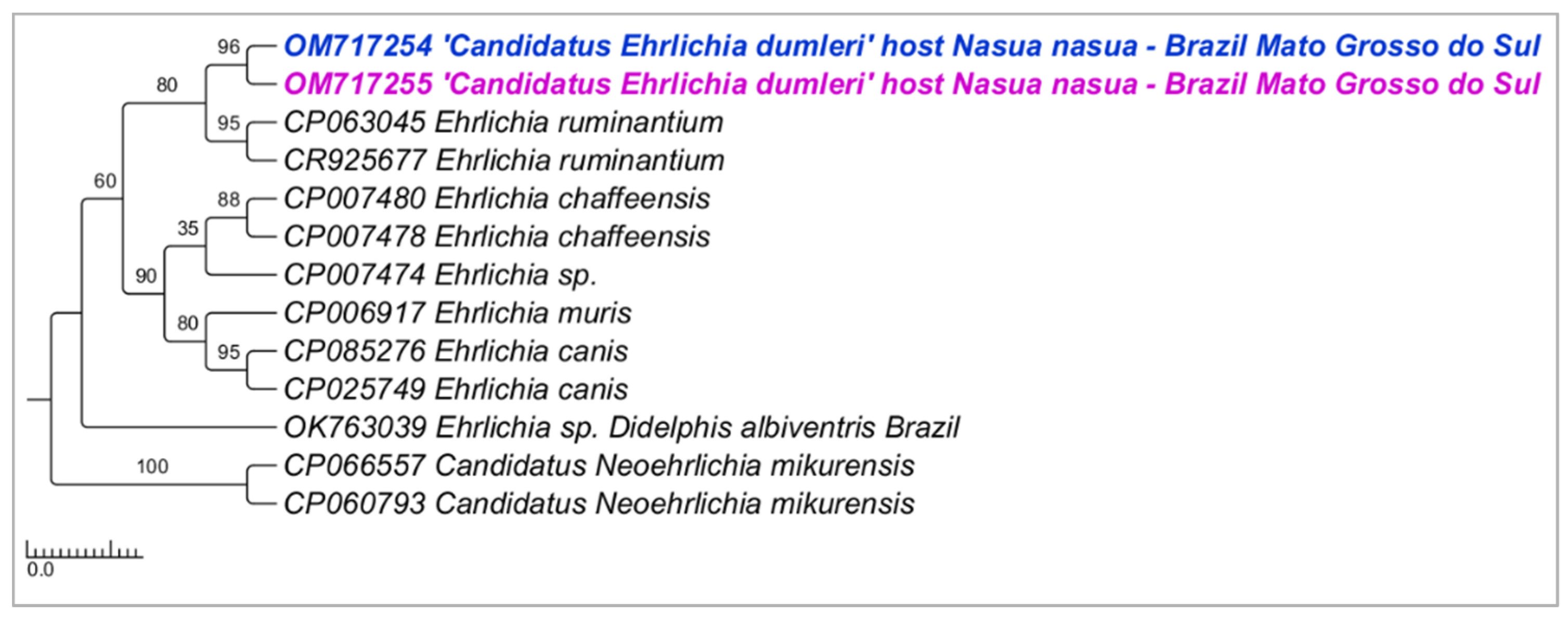 Microorganisms 10 02379 g005 Microorganisms 10 02379 g005