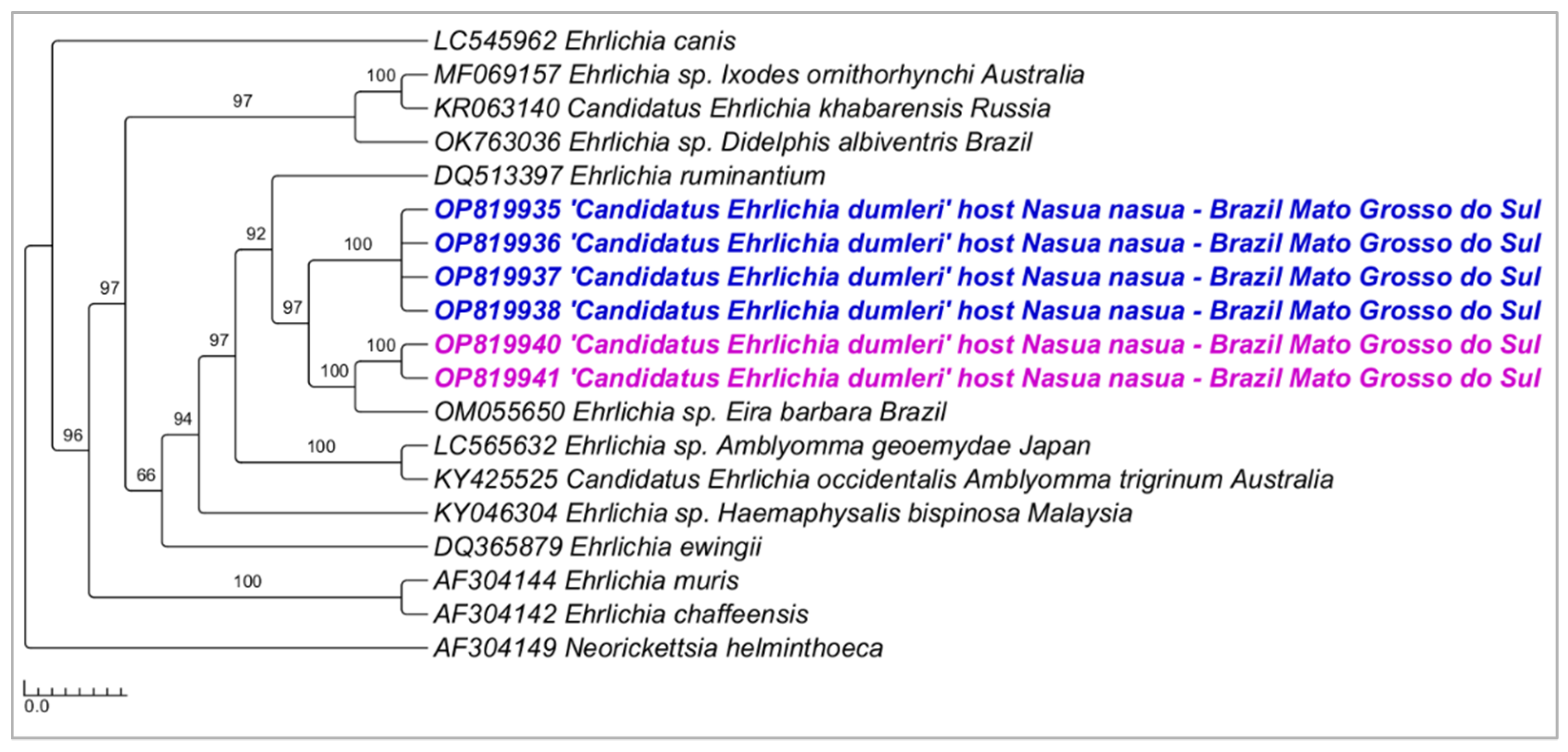 Microorganisms 10 02379 g006 Microorganisms 10 02379 g006