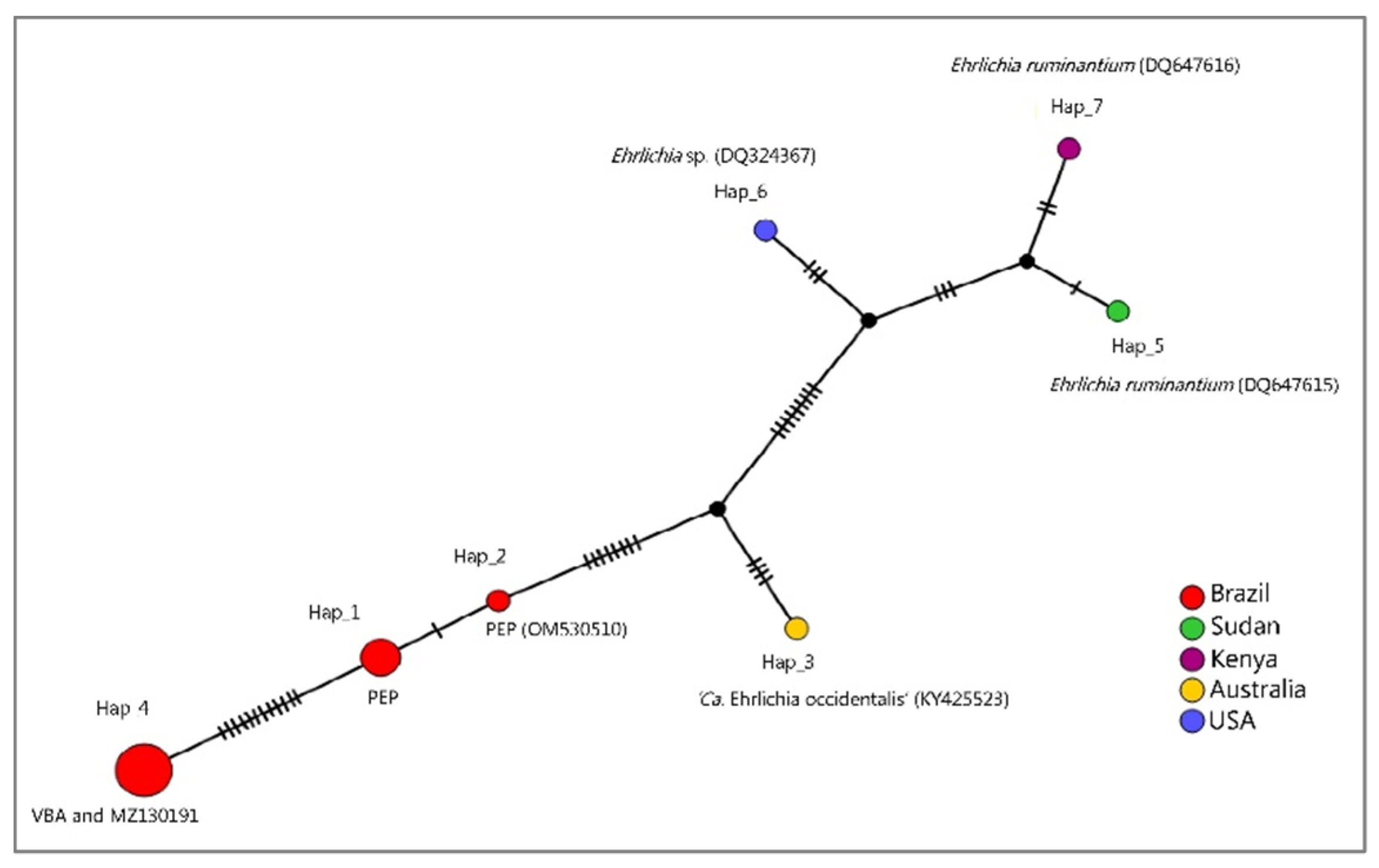 Microorganisms 10 02379 g007 Microorganisms 10 02379 g007