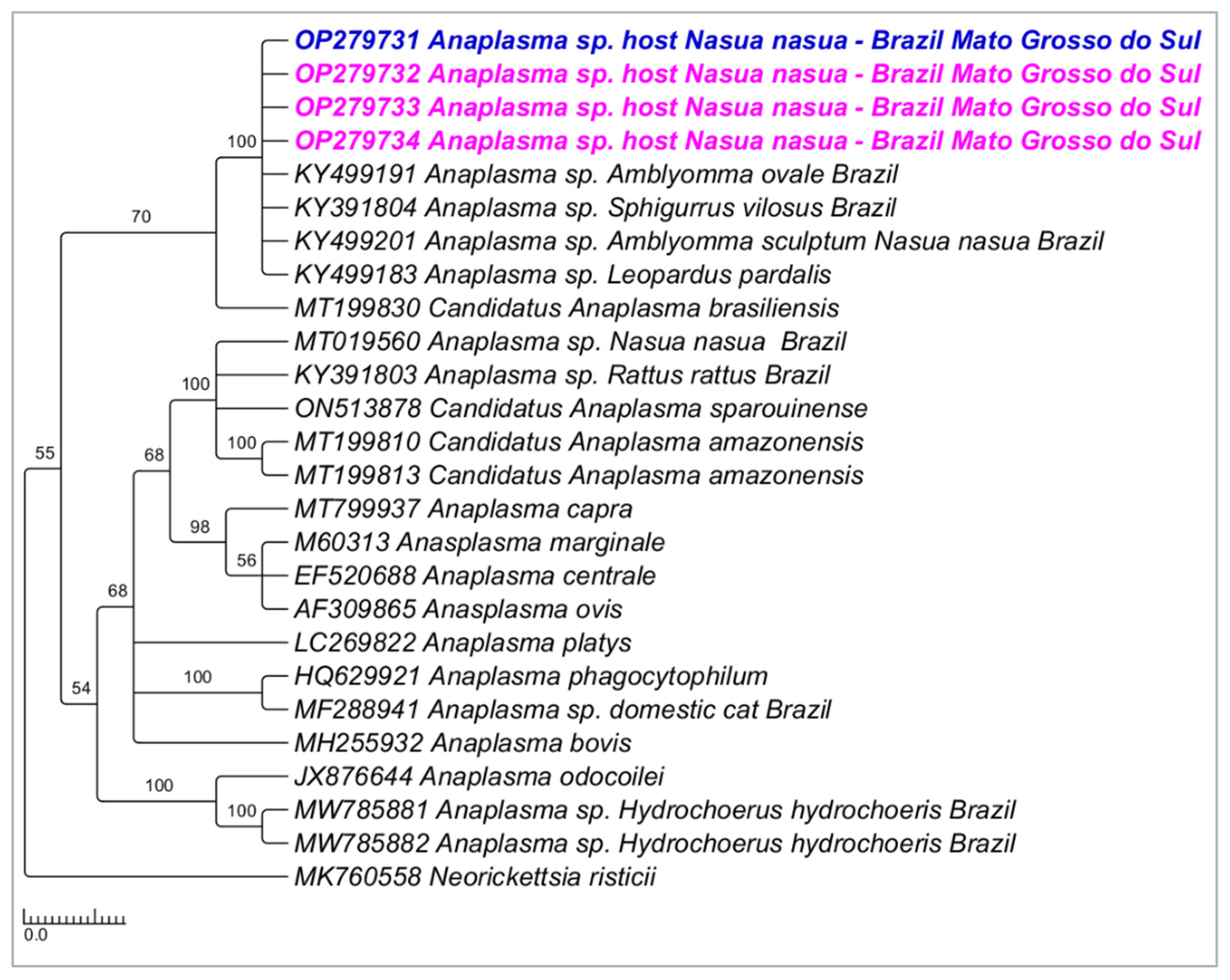 Microorganisms 10 02379 g008 Microorganisms 10 02379 g008