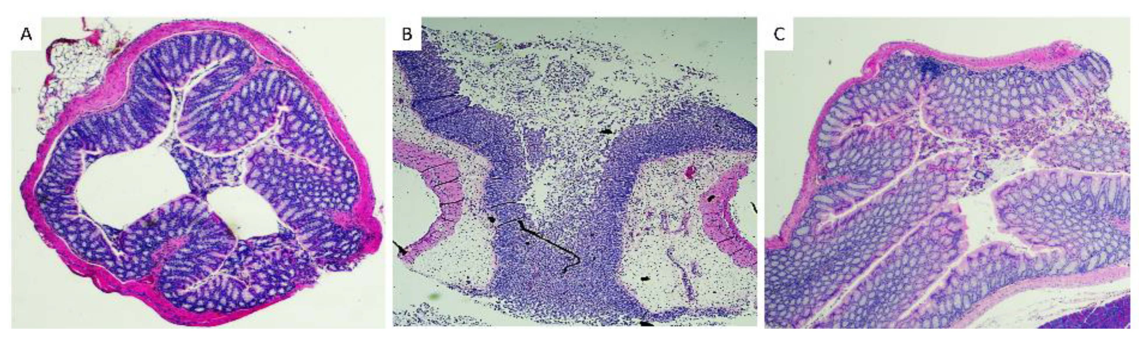 Microorganisms 10 02380 g004 Microorganisms 10 02380 g004