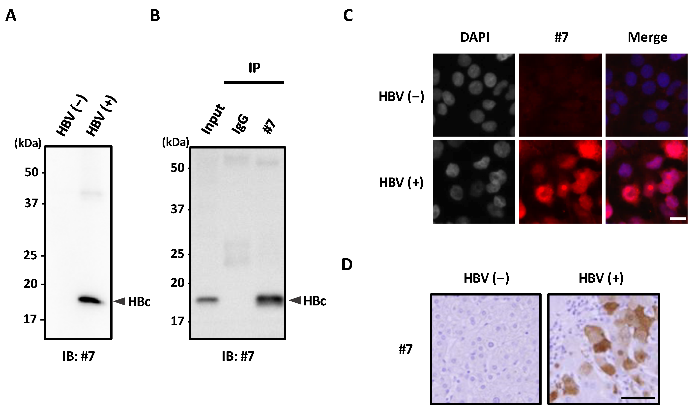 Microorganisms 10 02381 g002