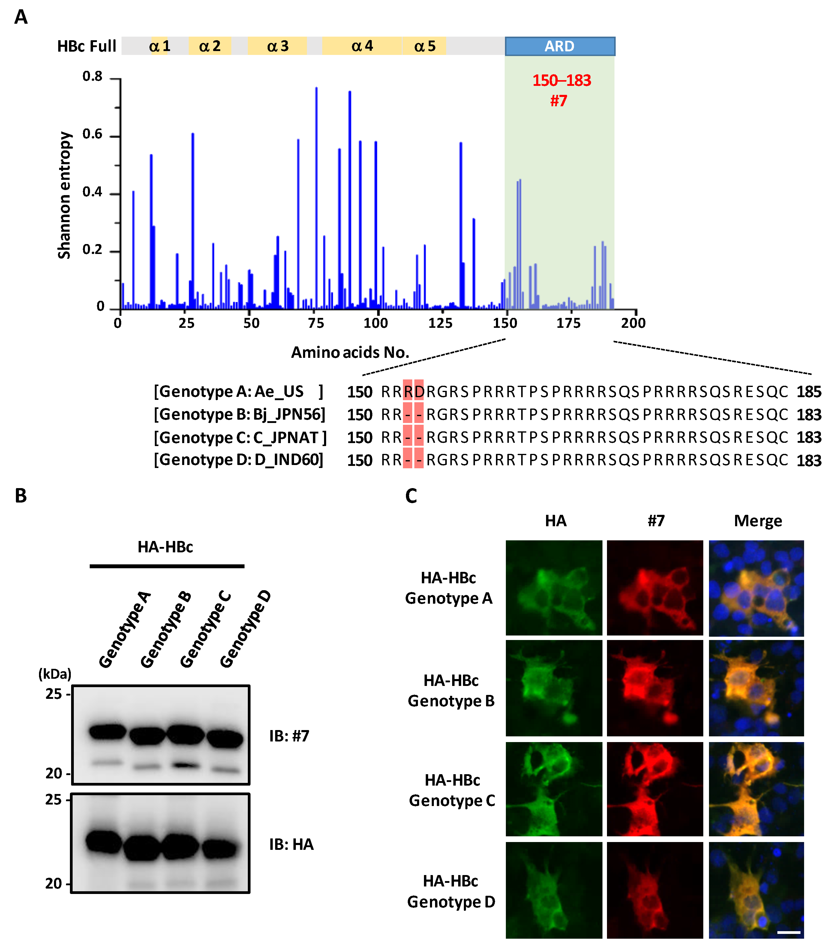 Microorganisms 10 02381 g004