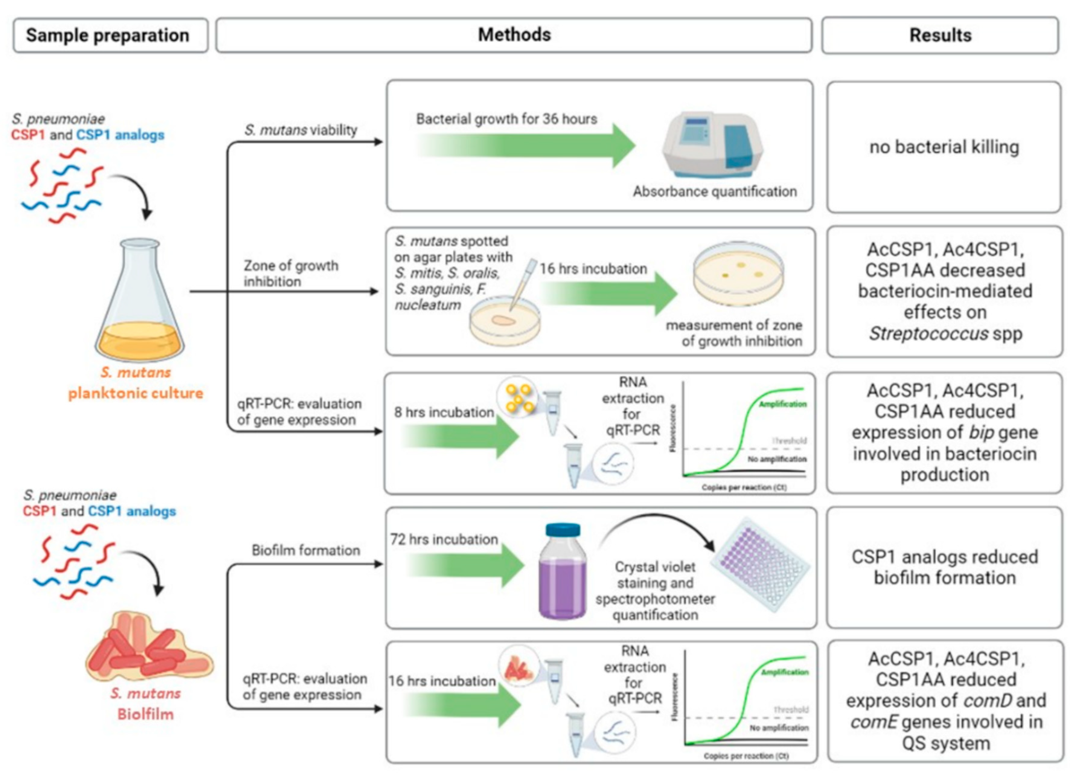 Microorganisms 10 02386 g005