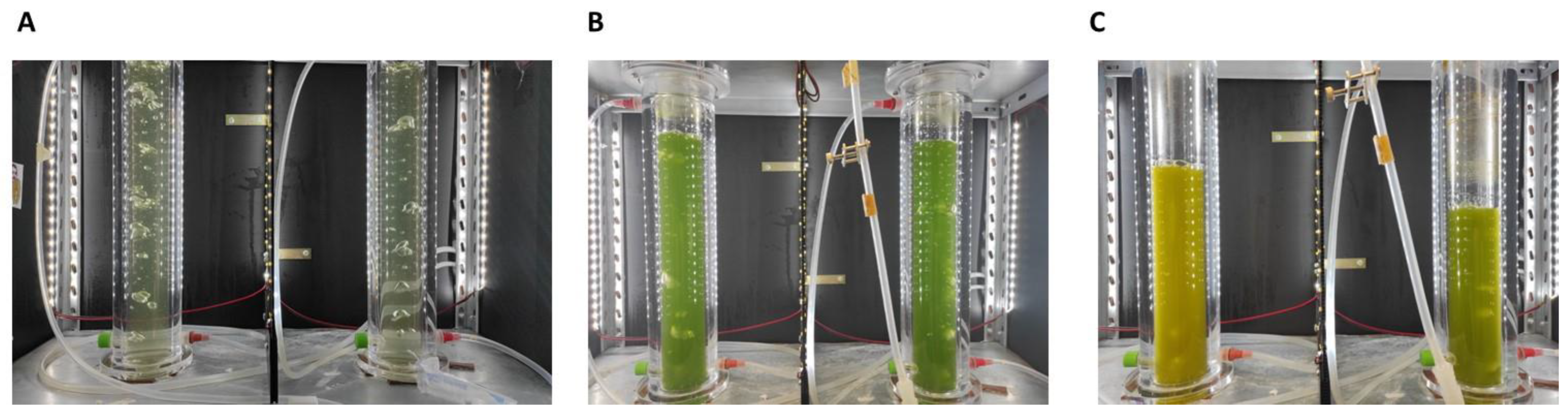 Microorganisms 10 02390 g003 Microorganisms 10 02390 g003