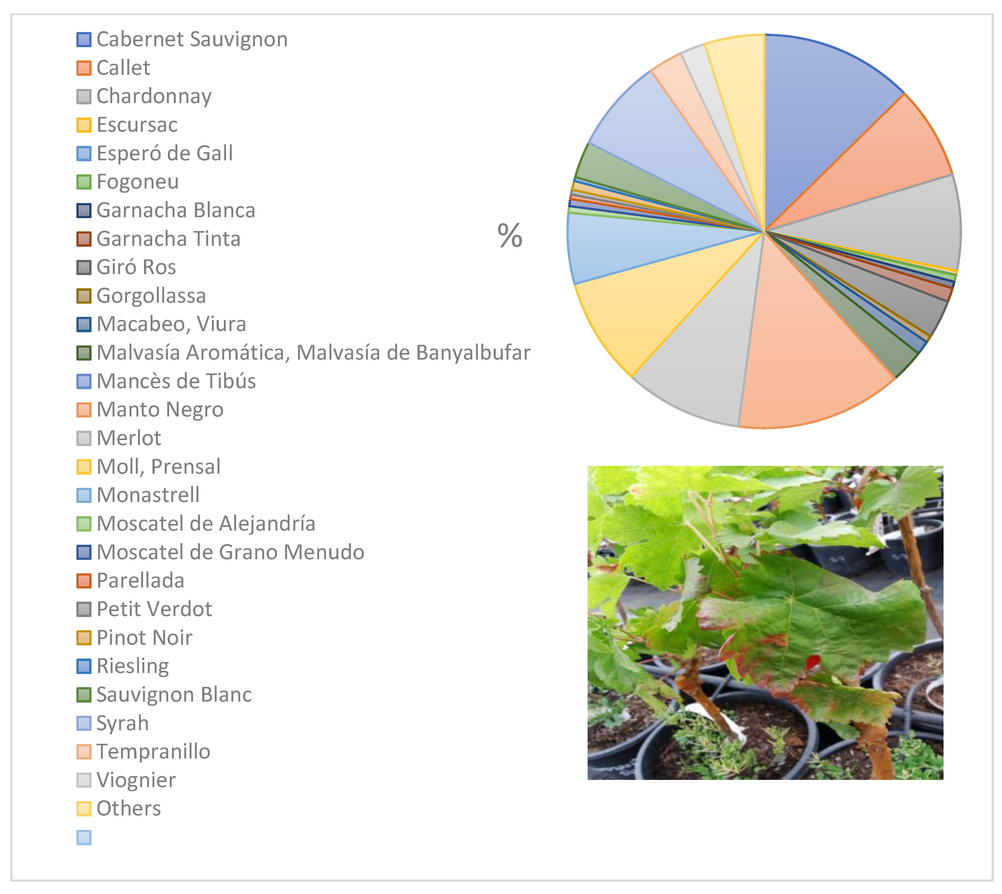Microorganisms 10 02393 g004