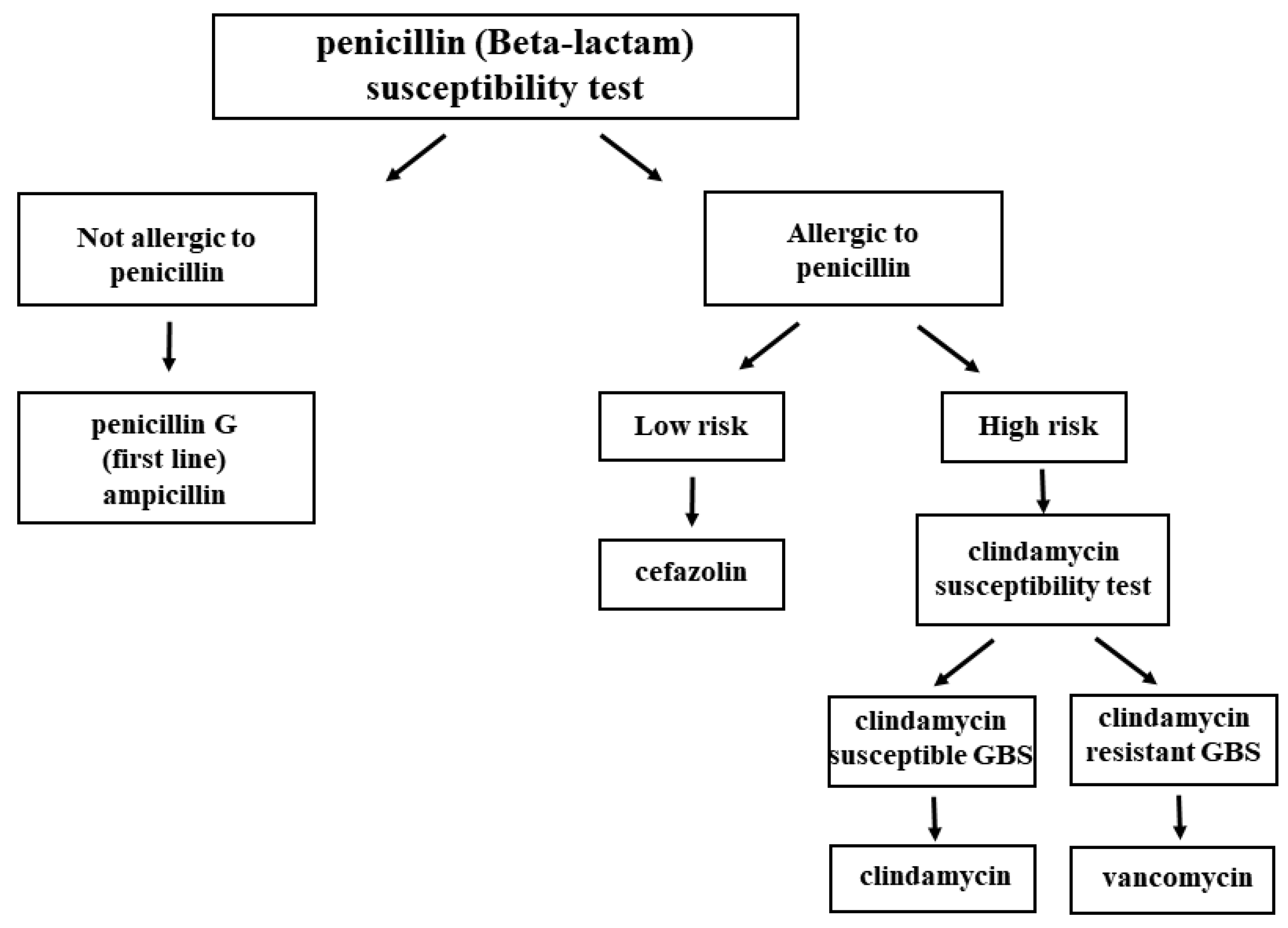 Updates on group b streptococcus infection in the field of obstetrics