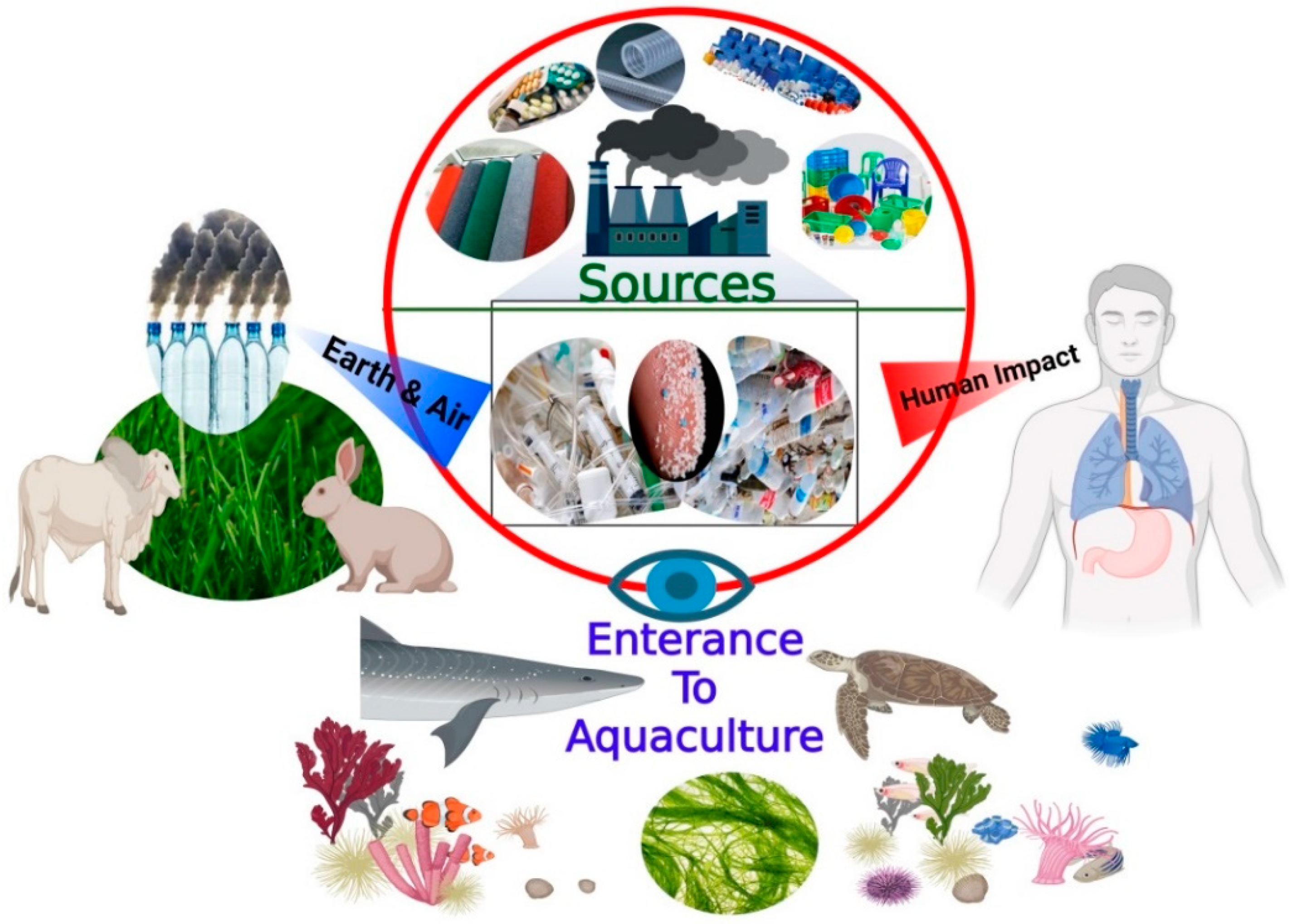 Microorganisms 10 02400 g001 Microorganisms 10 02400 g001