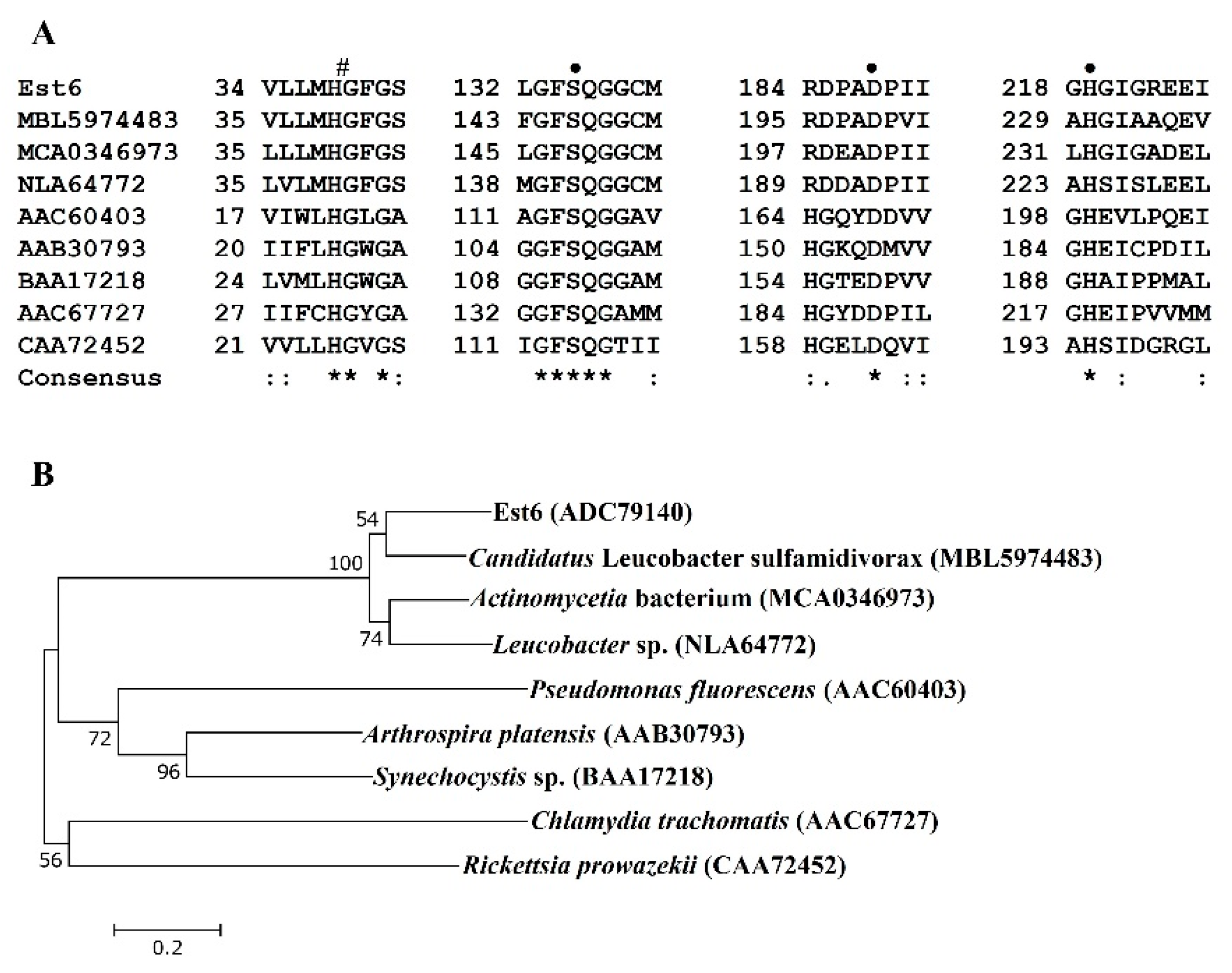 Microorganisms 10 02403 g001 Microorganisms 10 02403 g001