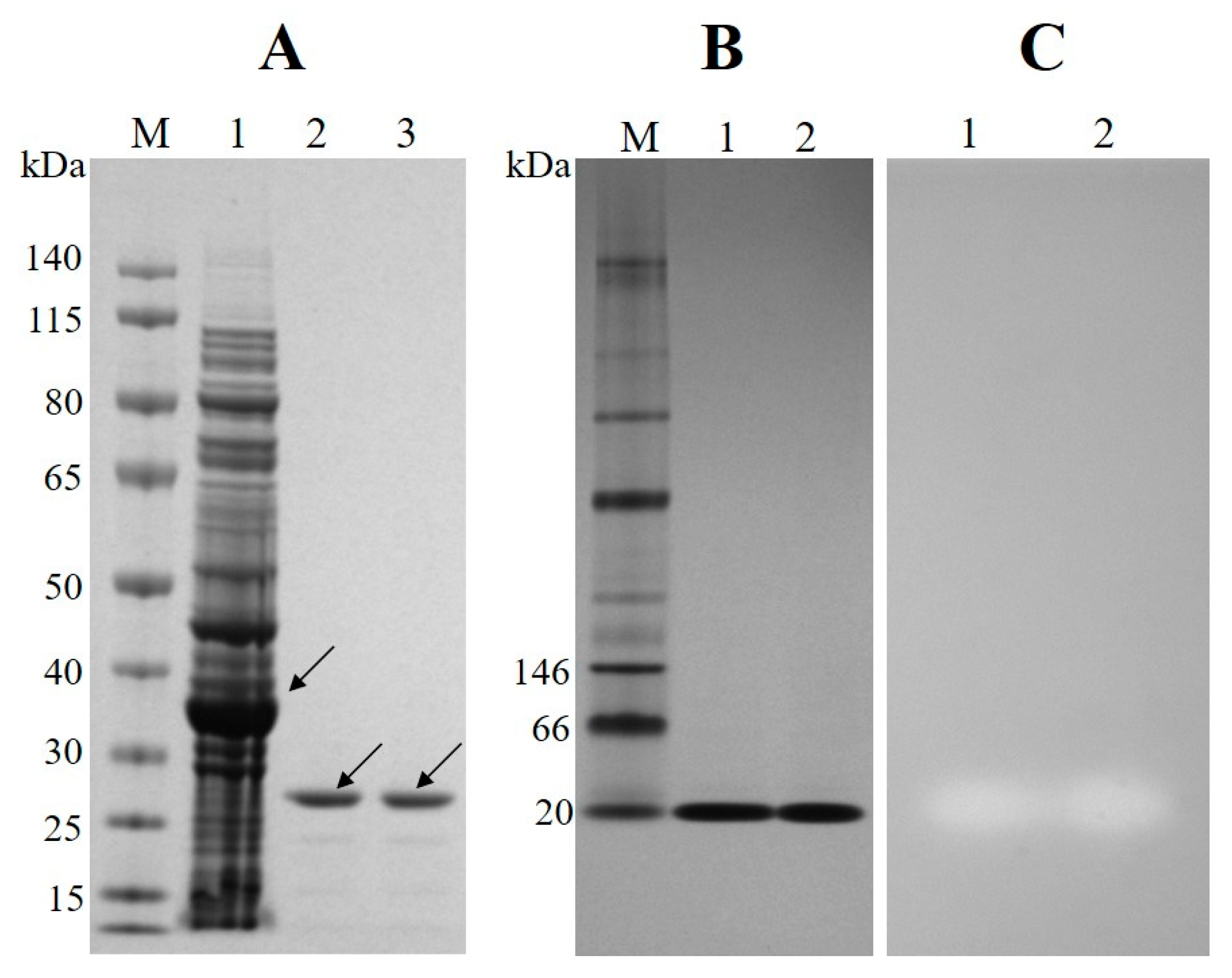Microorganisms 10 02403 g002 Microorganisms 10 02403 g002