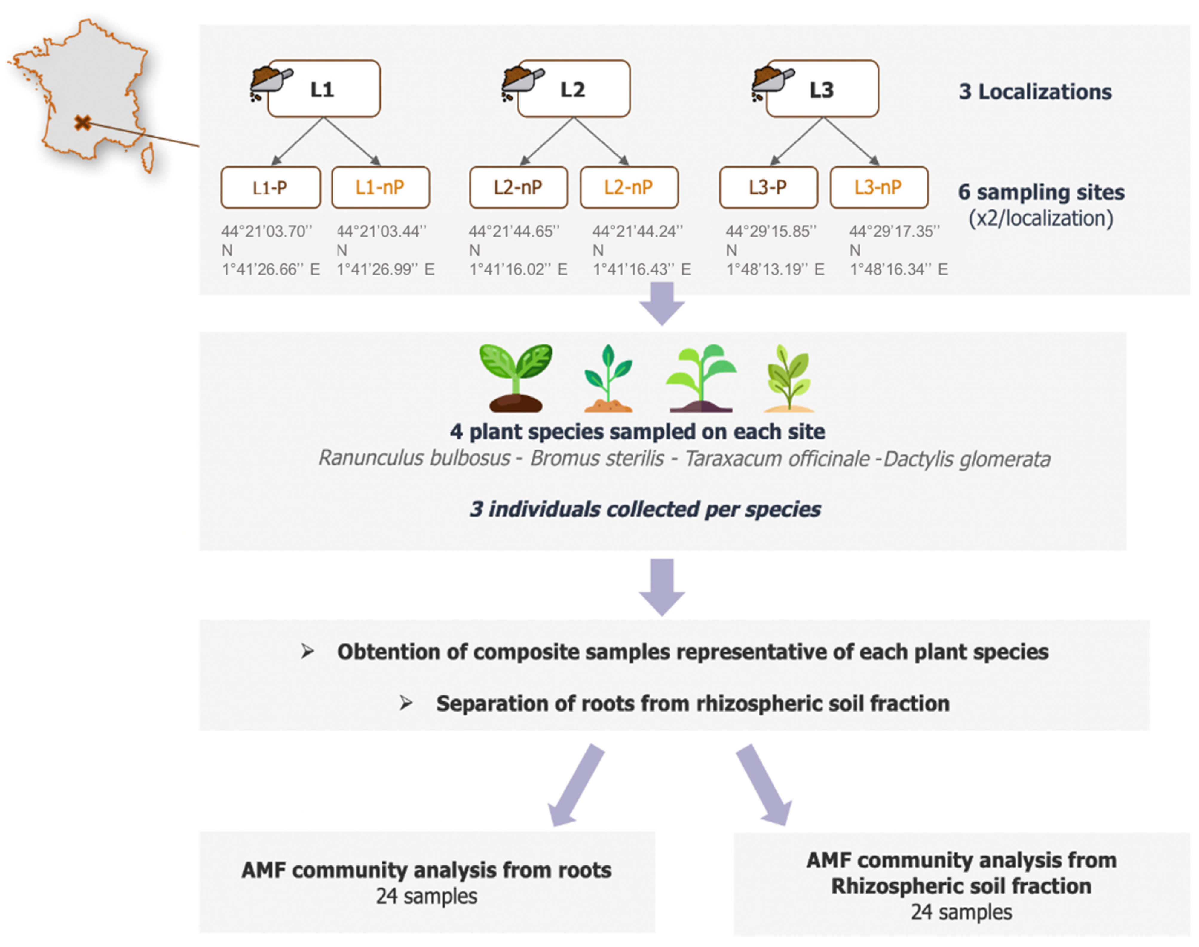 Microorganisms 10 02406 g001 Microorganisms 10 02406 g001