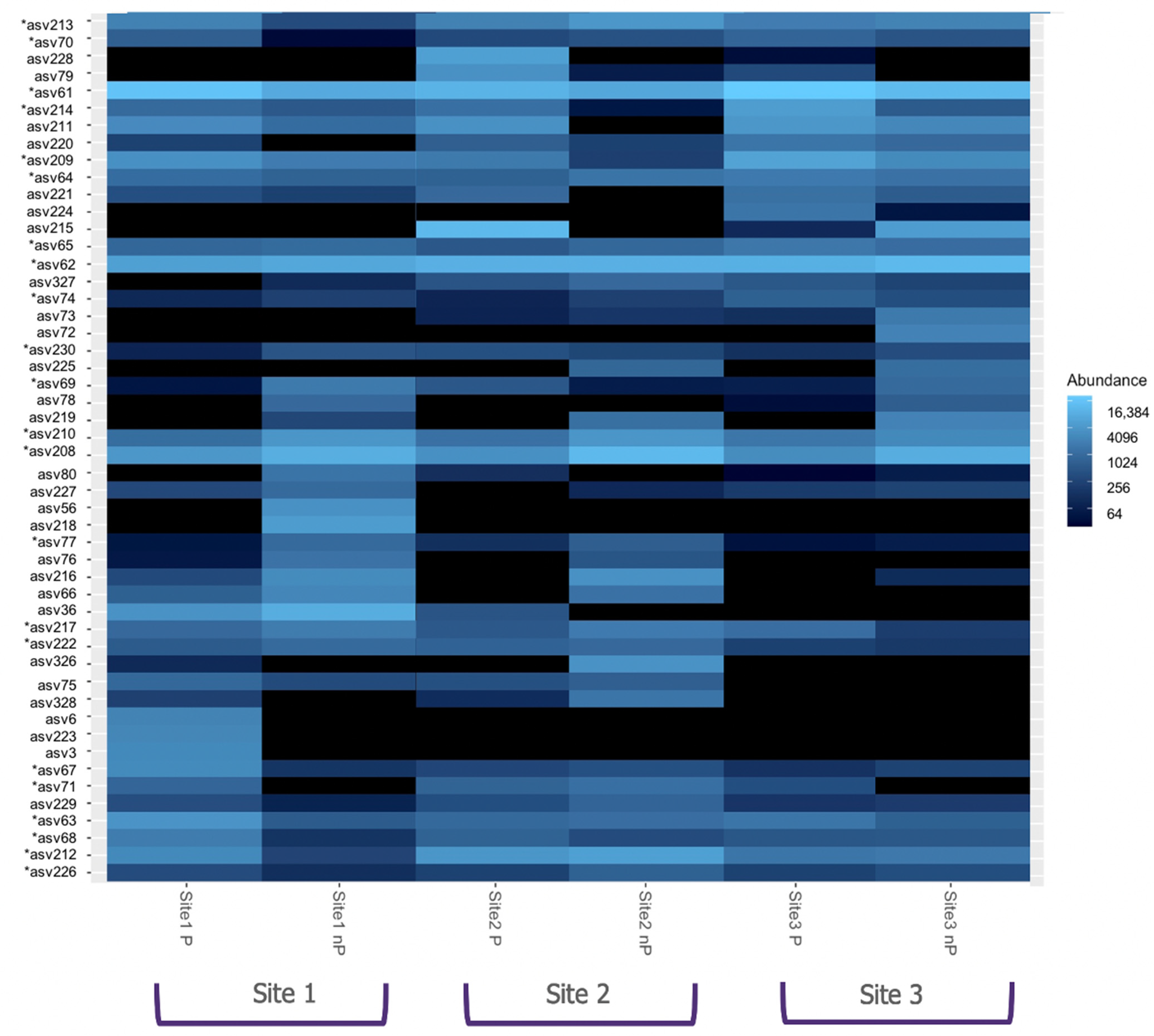 Microorganisms 10 02406 g005 Microorganisms 10 02406 g005