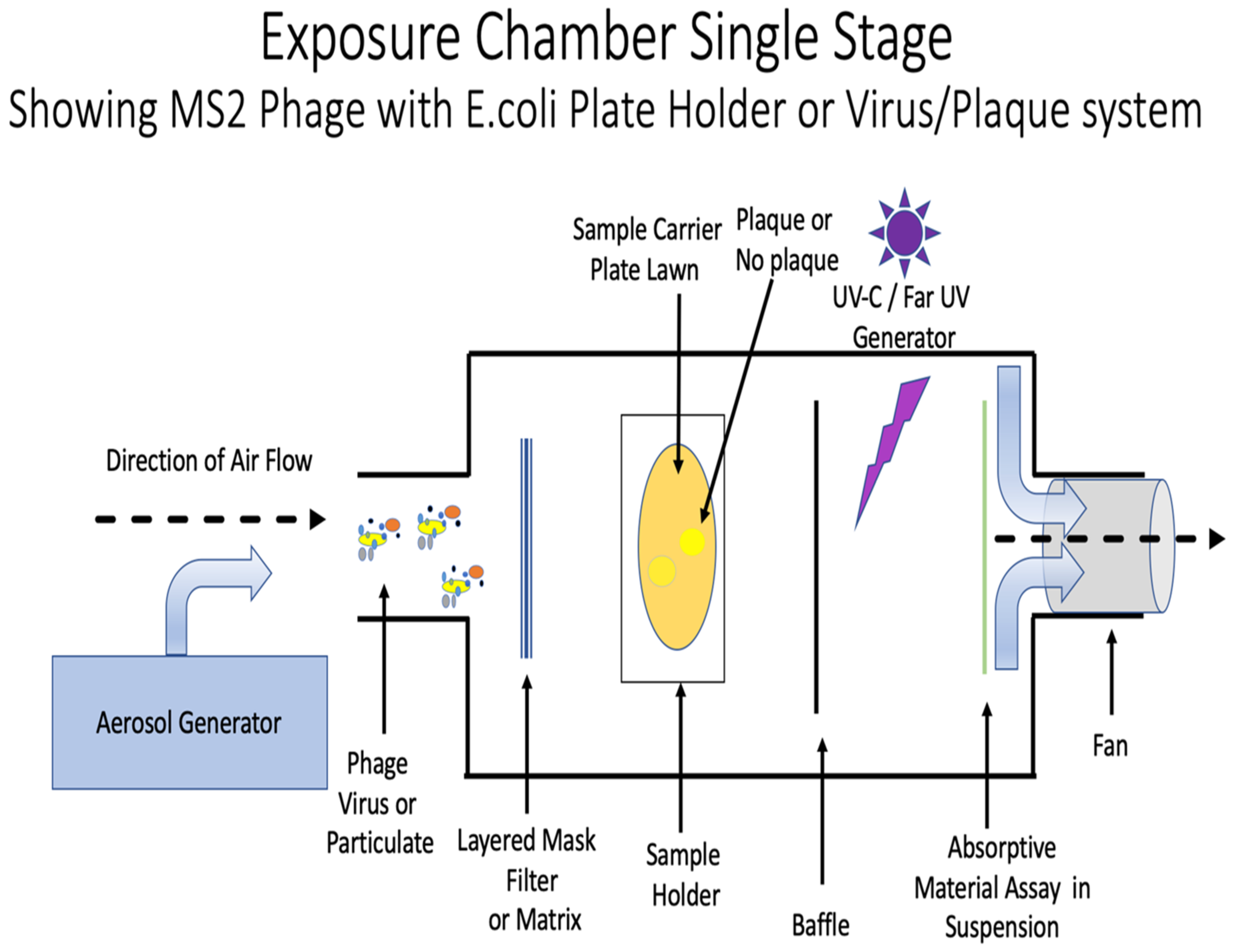 Microorganisms 10 02407 g002 Microorganisms 10 02407 g002