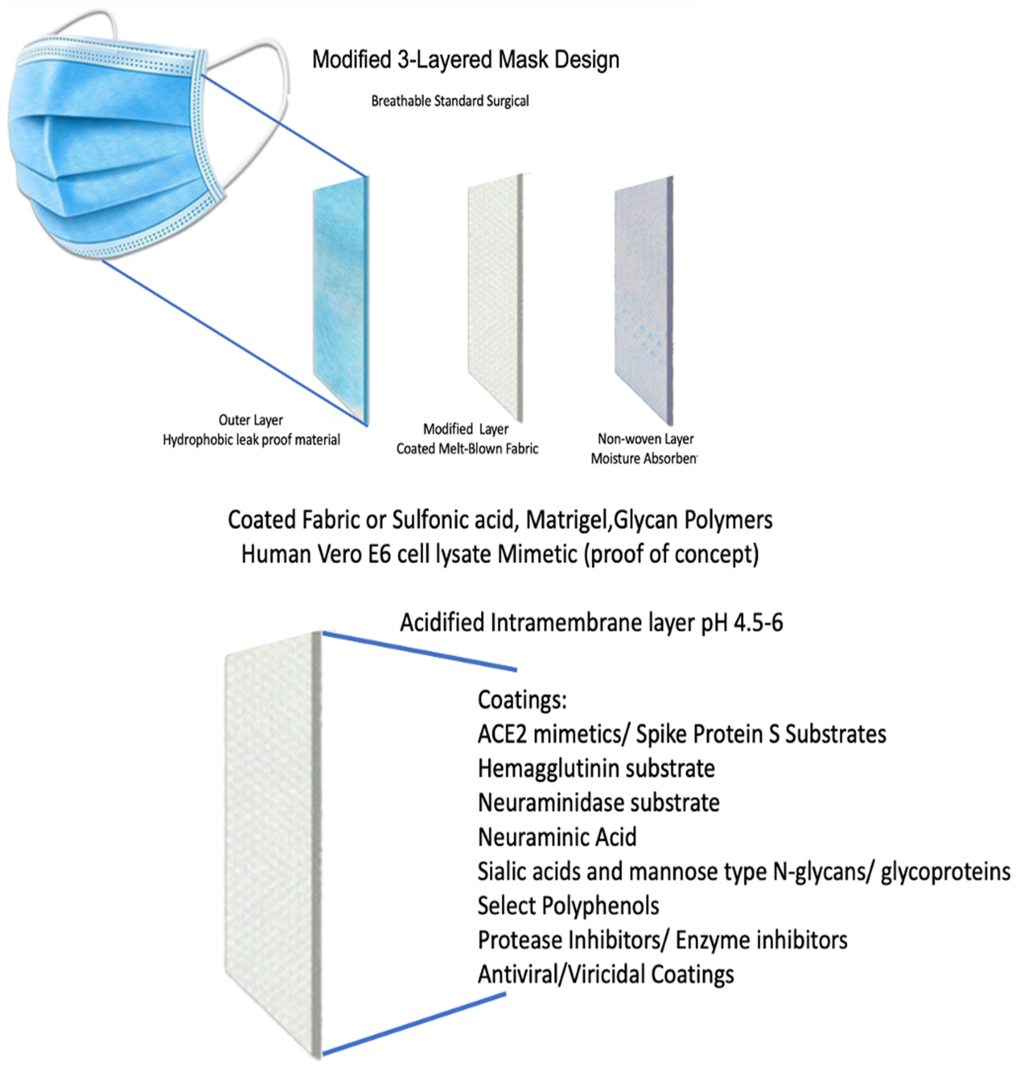 Microorganisms 10 02407 g005 Microorganisms 10 02407 g005