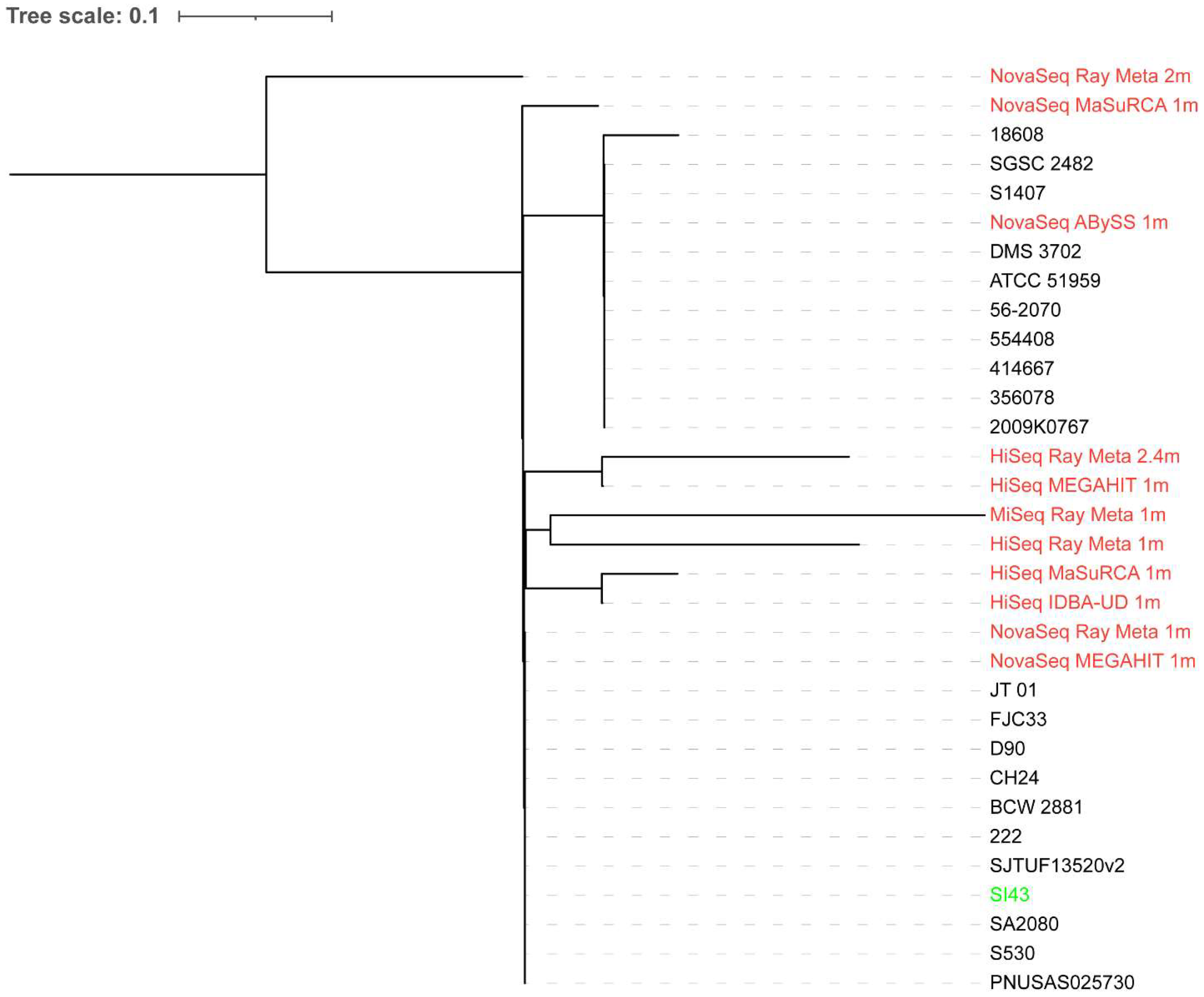 Microorganisms 10 02416 g001 Microorganisms 10 02416 g001