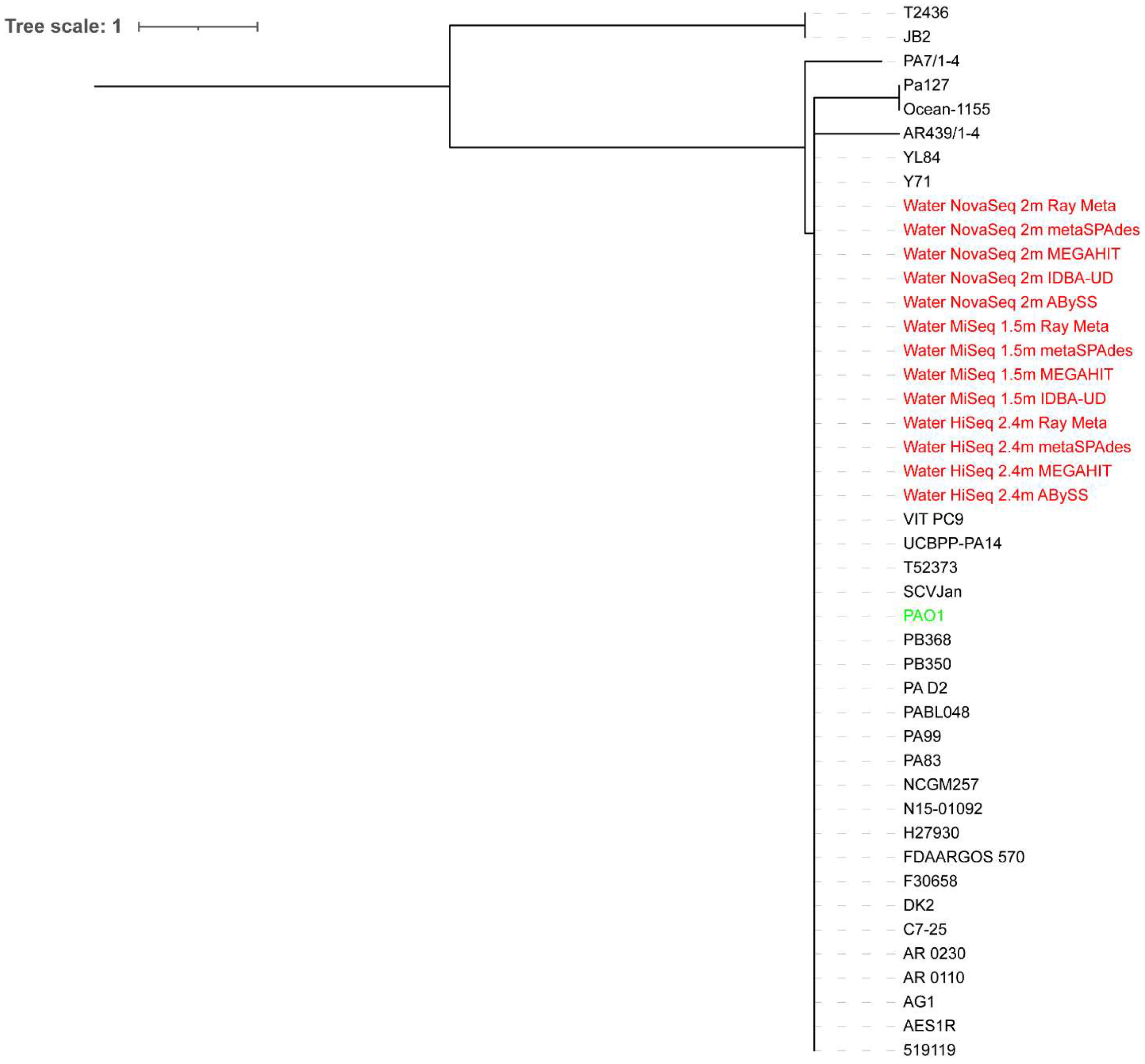 Microorganisms 10 02416 g003 Microorganisms 10 02416 g003