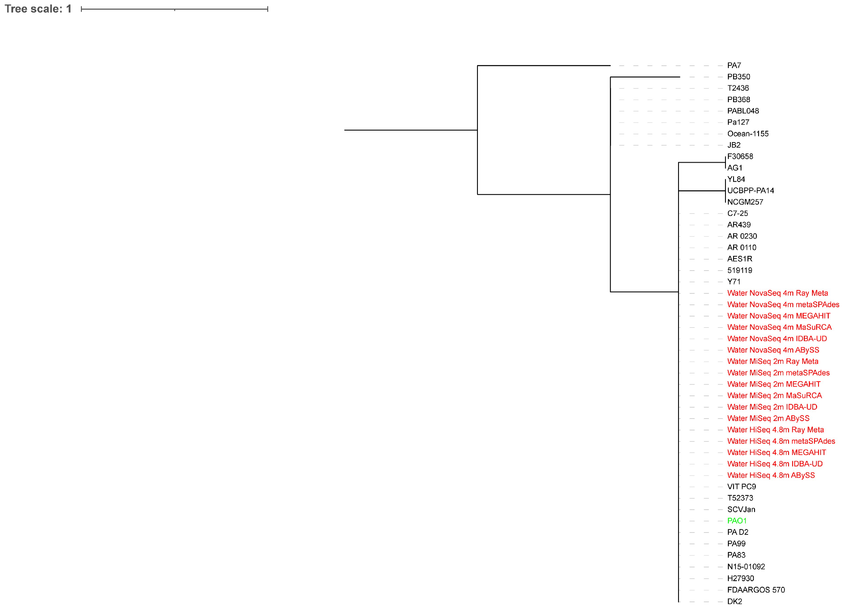 Microorganisms 10 02416 g004 Microorganisms 10 02416 g004