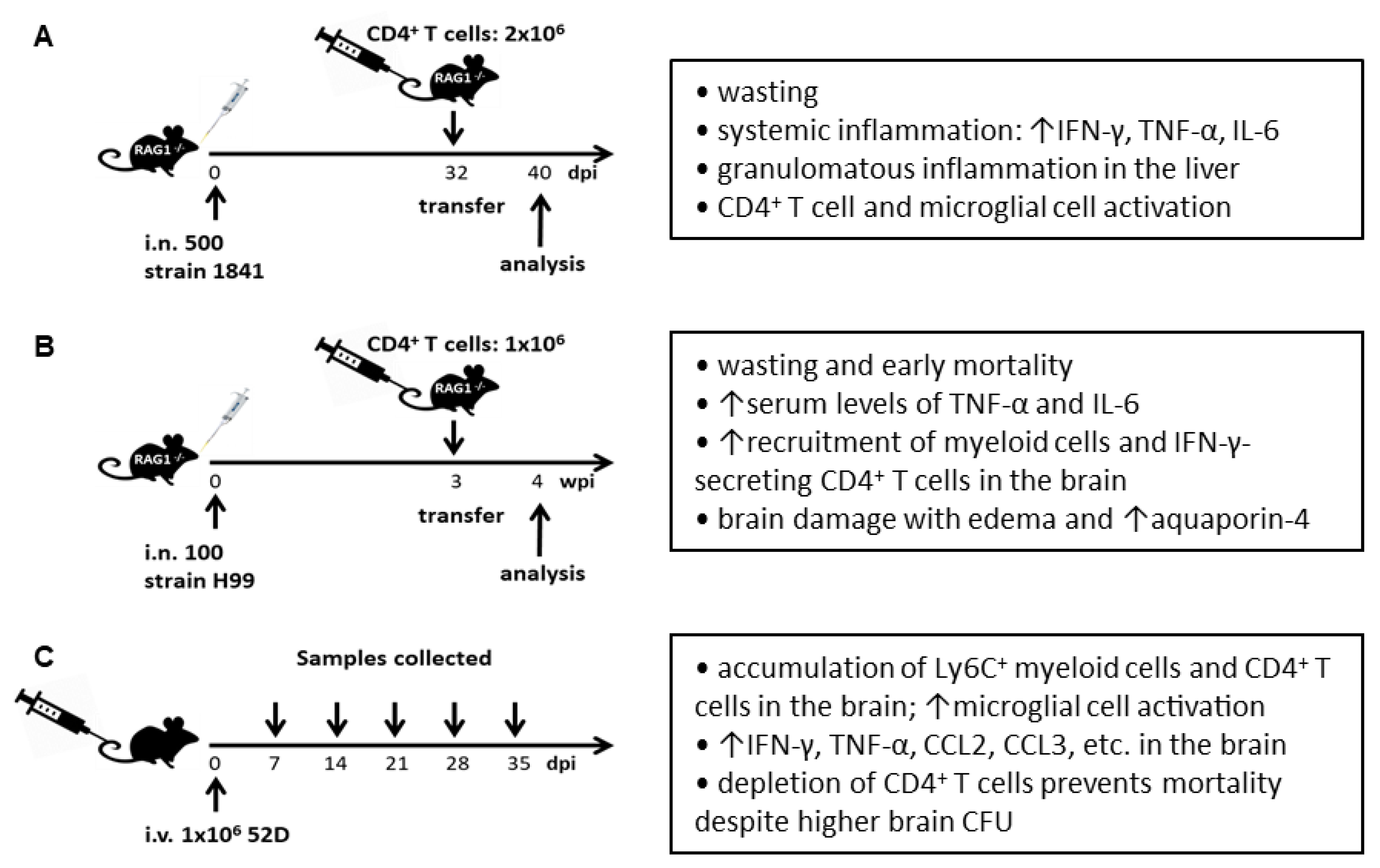 Microorganisms 10 02419 g001