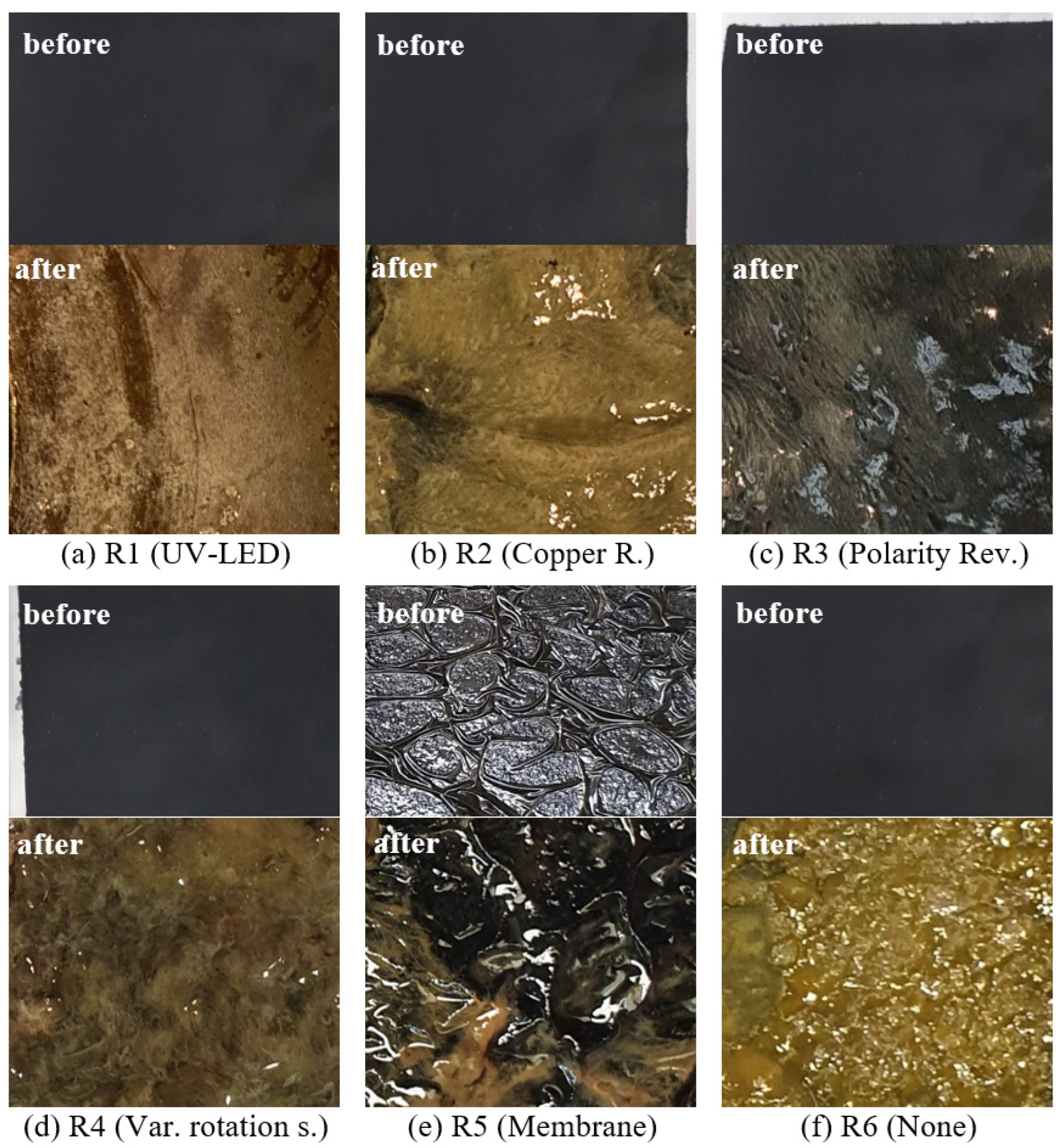 Microorganisms 10 02421 g005