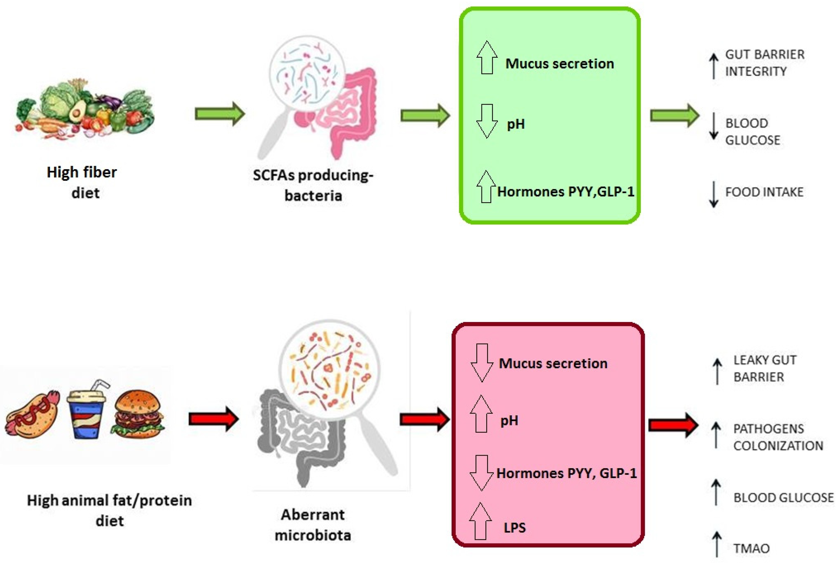 Microorganisms 10 02424 g002
