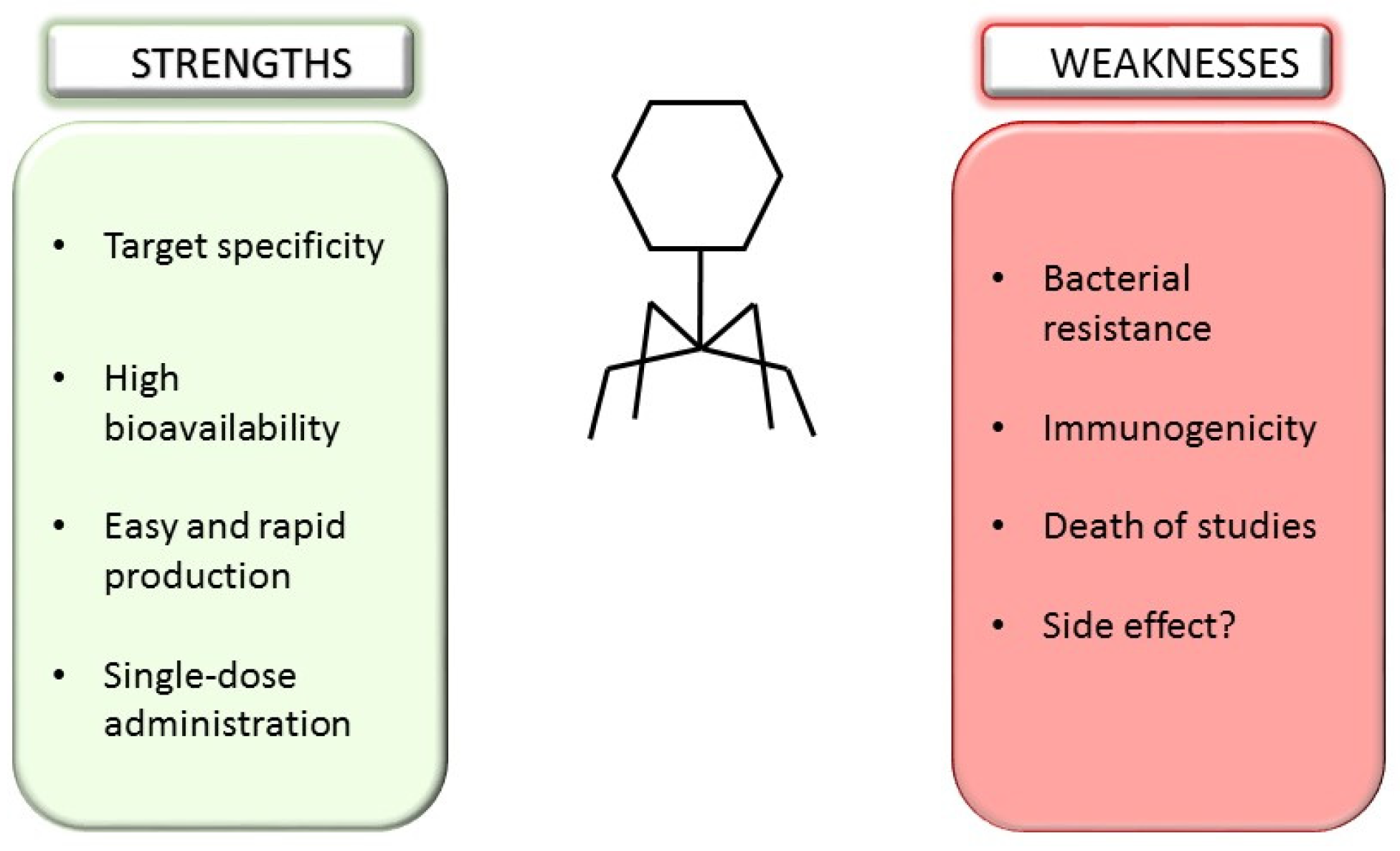 Microorganisms 10 02424 g004