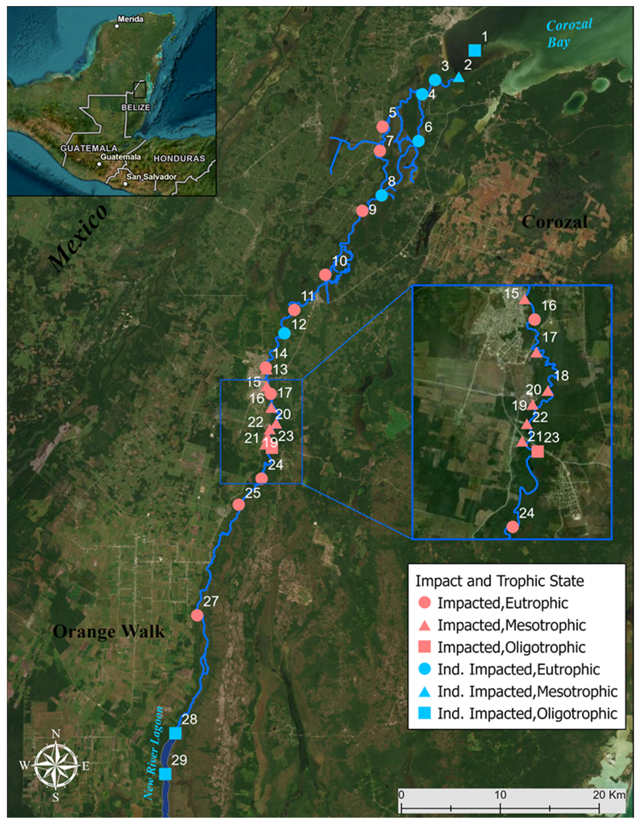 Microorganisms 10 02425 g001 Microorganisms 10 02425 g001